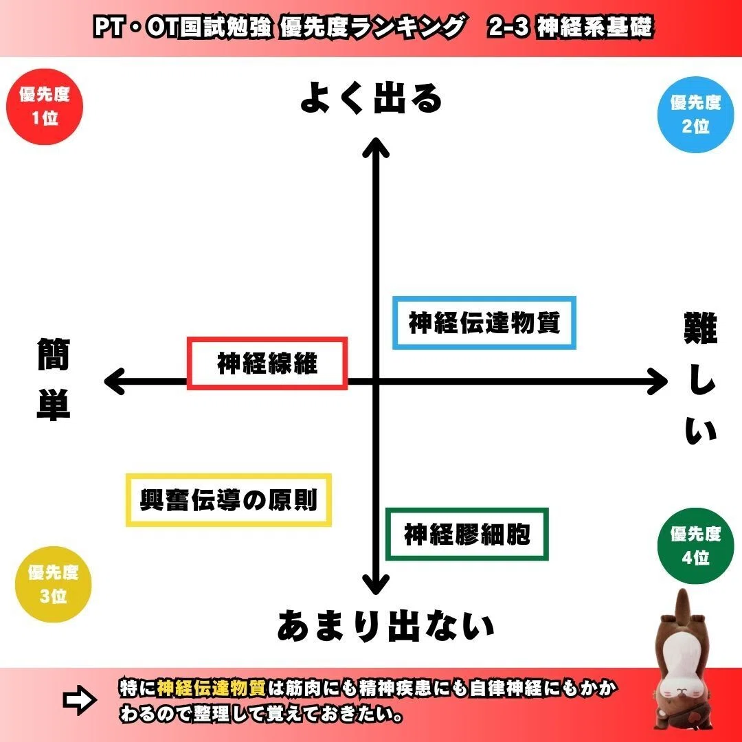 ➁-3 神経系 解剖学・生理学 第62回理学療法士国家試験対策 過去問 ➁-3 神経系 解剖学・生理学 第62回理学療法士国家試験対策 過去問