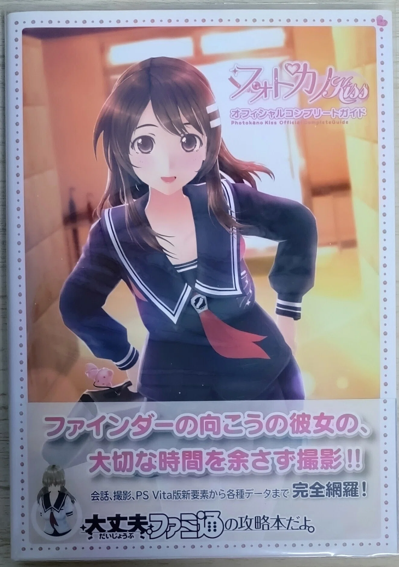 ゲームの攻略本がとても好きという話｜ハキム