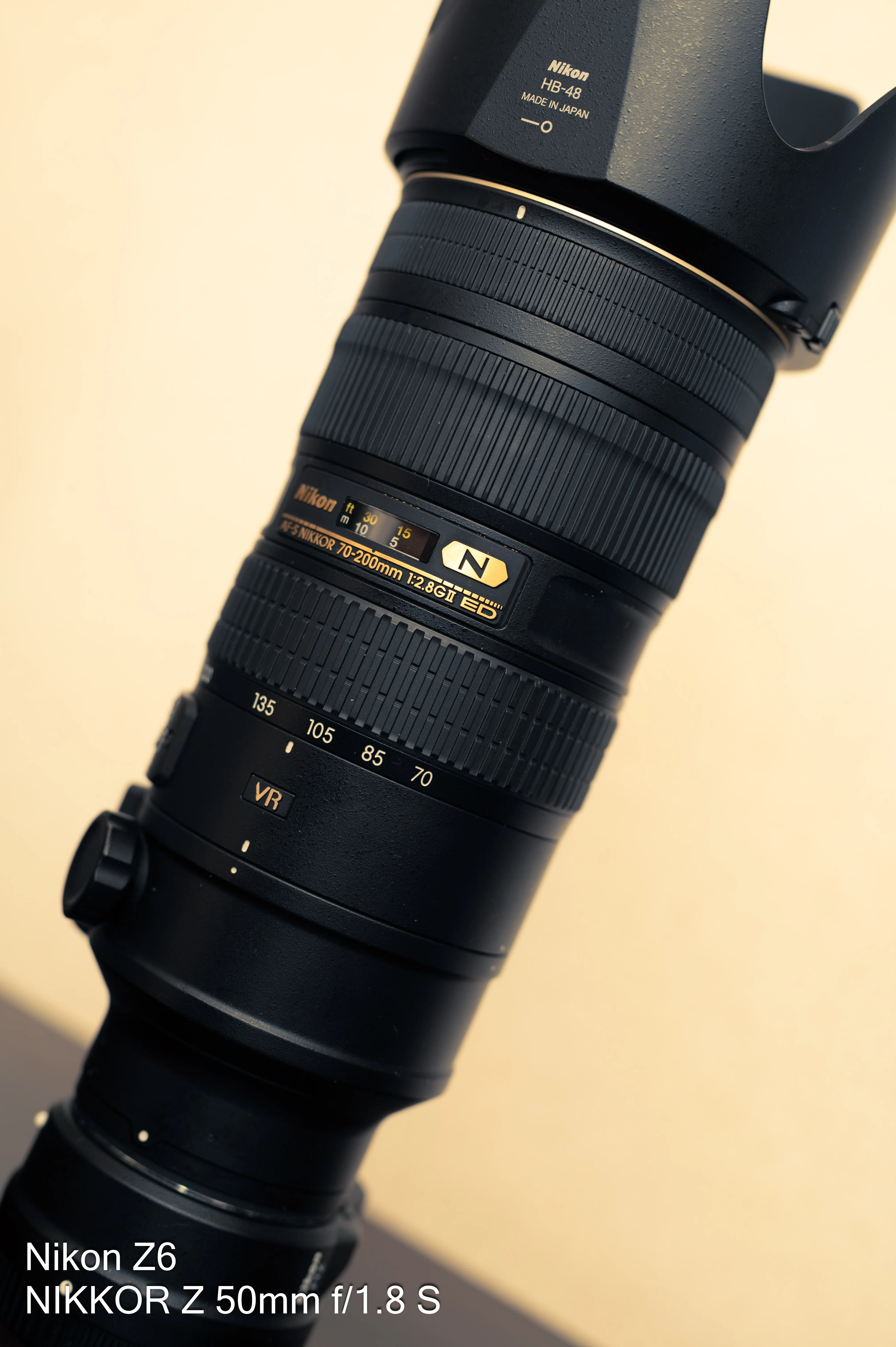 NIKKORレンズ作例】Nikon Z6 で撮影した写真を振り返る｜秋槻ケンヂ