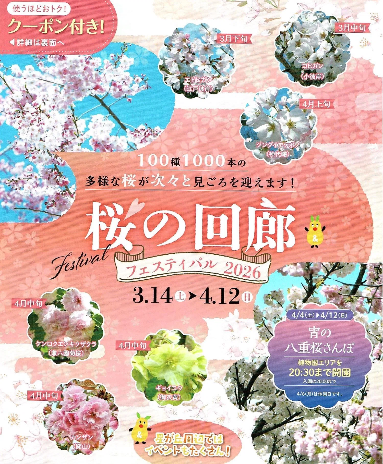 100種1000本もの桜は見られる! 東山動植物園|kamo 100種1000本もの桜は見られる! 東山動植物園|kamo