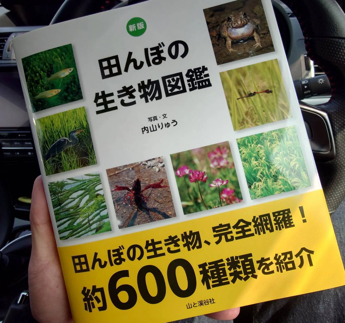 新バイブルの予感】新版 田んぼの生き物図鑑｜龍の魂チャンネル