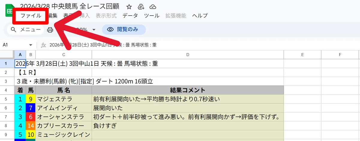 Race Review Memo Spreadsheet Version Usage Instructions｜エキスポ競馬