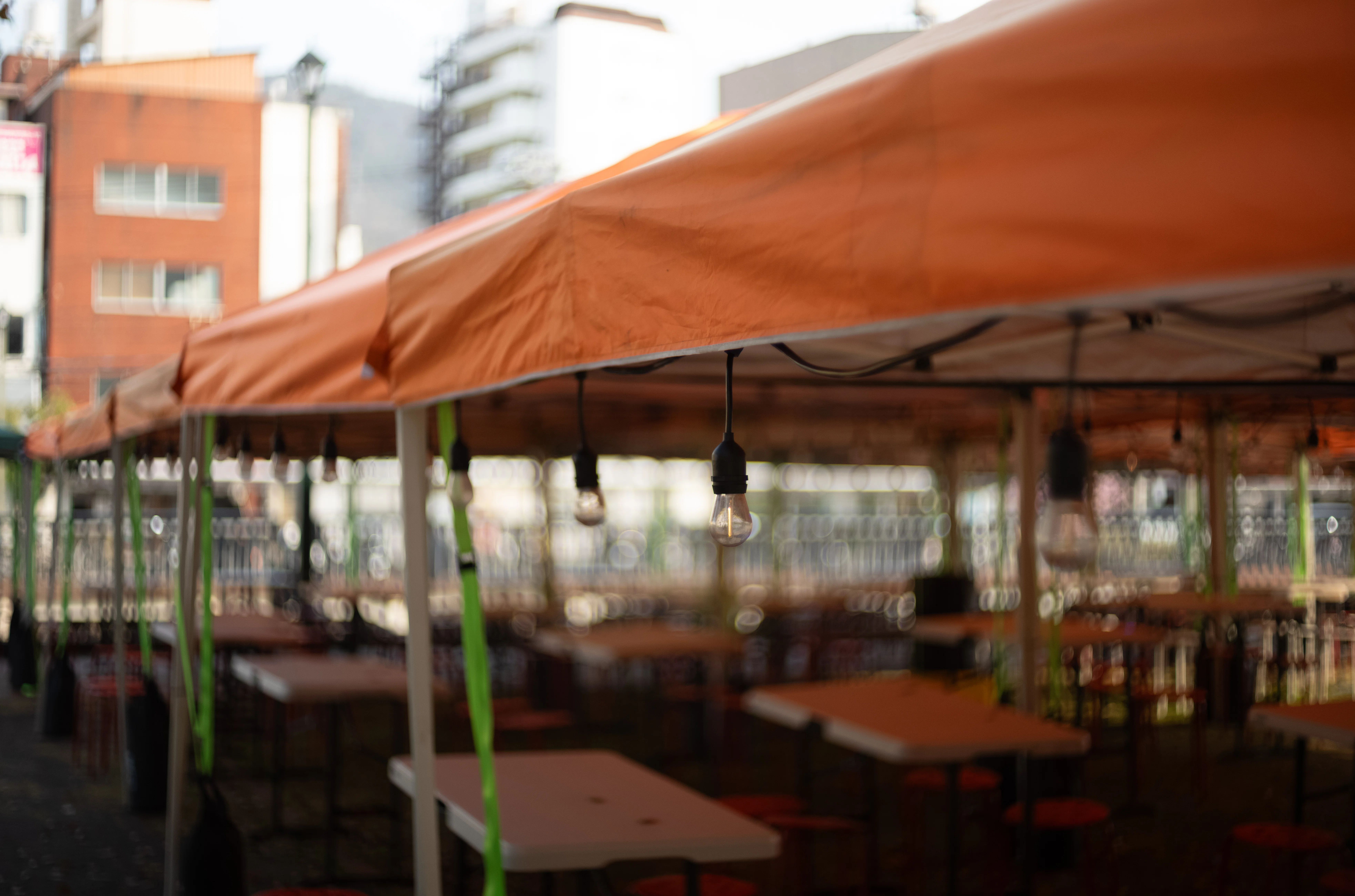 復刻レンズあれこれ_LIGHT LENS LAB M 50mm f/1.5 Z21｜T.Reds Ikeura