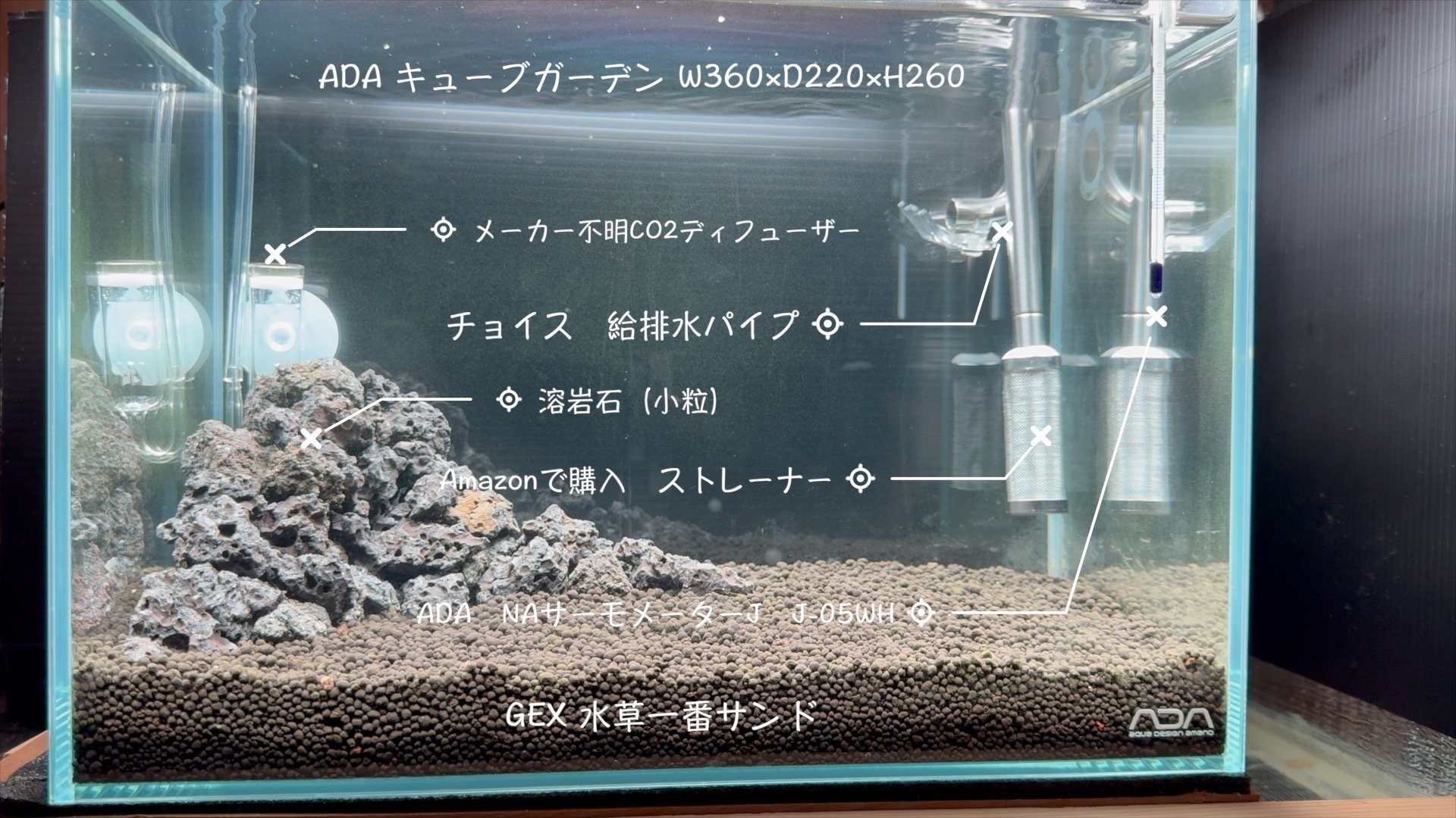 水槽 激ムズ！ドSな水草を育てる機材構成｜waterleafs