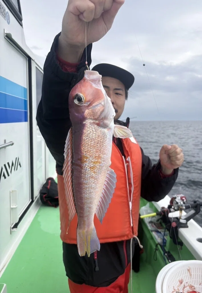 タイラバ】真鯛1kg、6kgブリも食いついた！【マダイ】最大0.8kgを