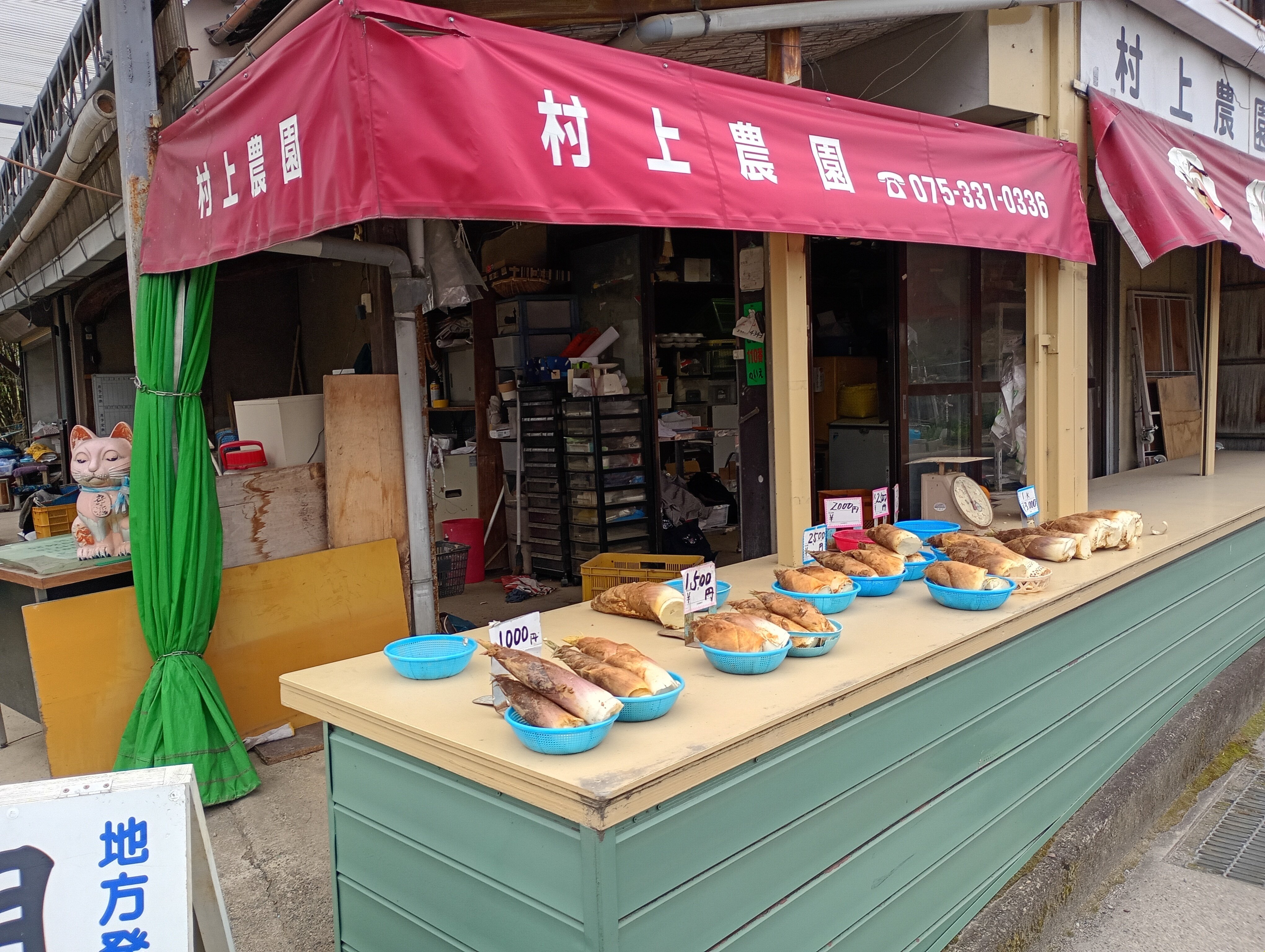 大枝街道の直売所でタケノコ販売が始まっています！｜Kyoto
