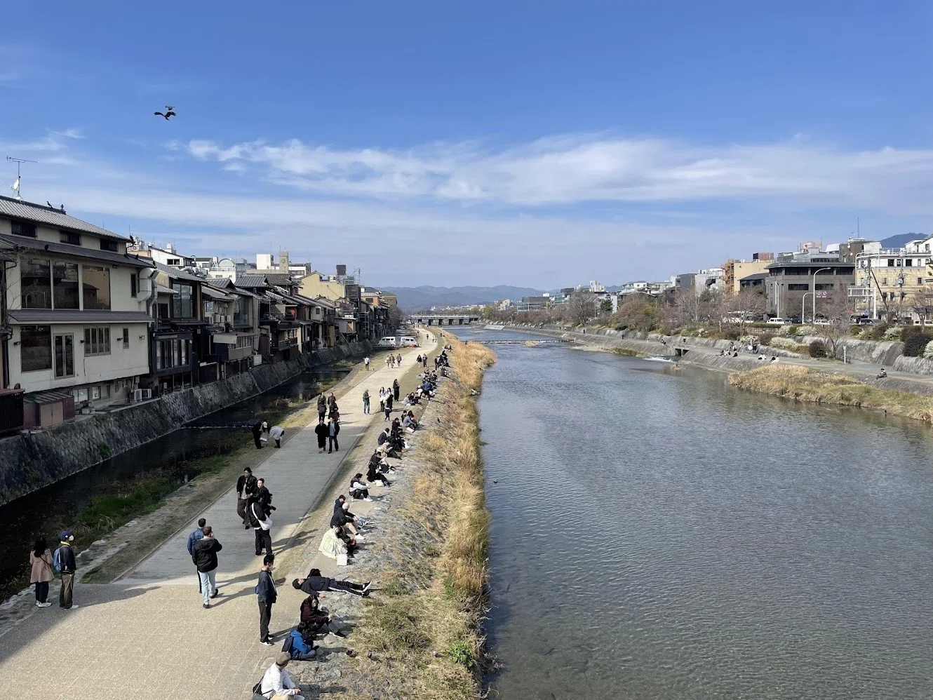 出張と称して京都へ｜うさみみ