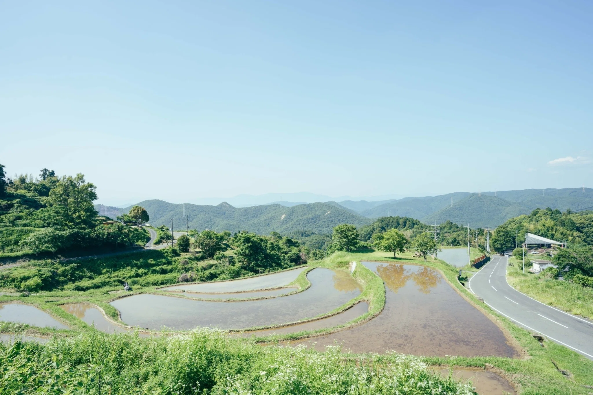 田んぼページ sora village 活動日記 vol.1 「田んぼのはじまり、新たな出会い