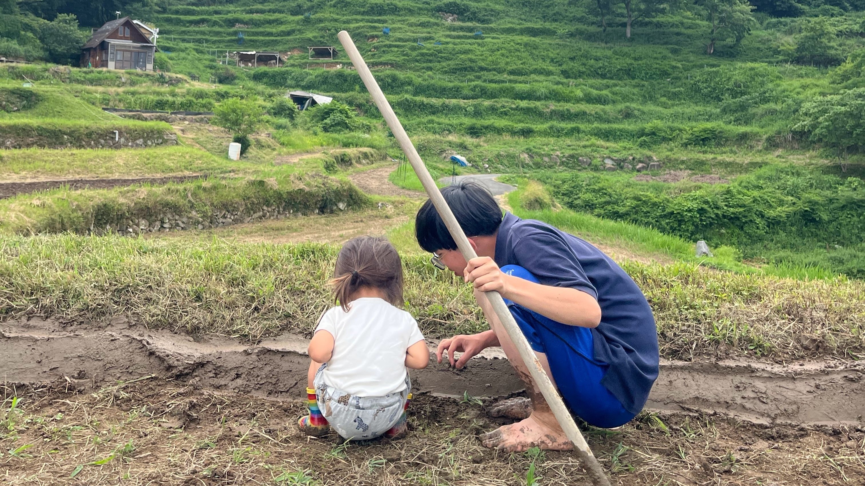 田んぼ　農業　ころがし 田ころがし〜🌾 – わんぱく自然農園