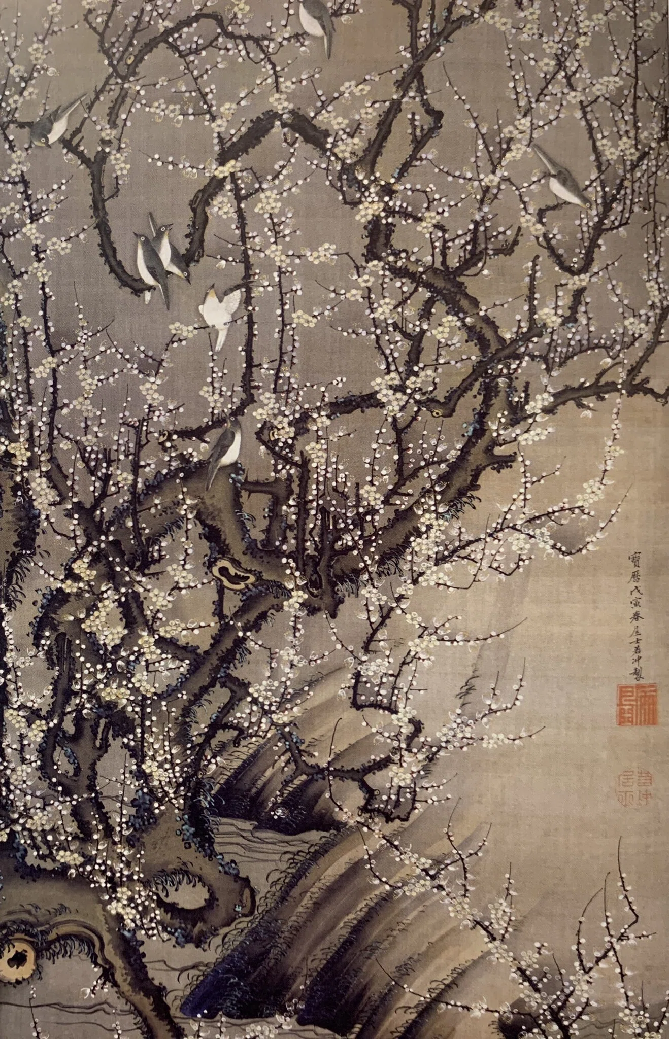 若冲の絵に隠されたフラクタル｜＋M