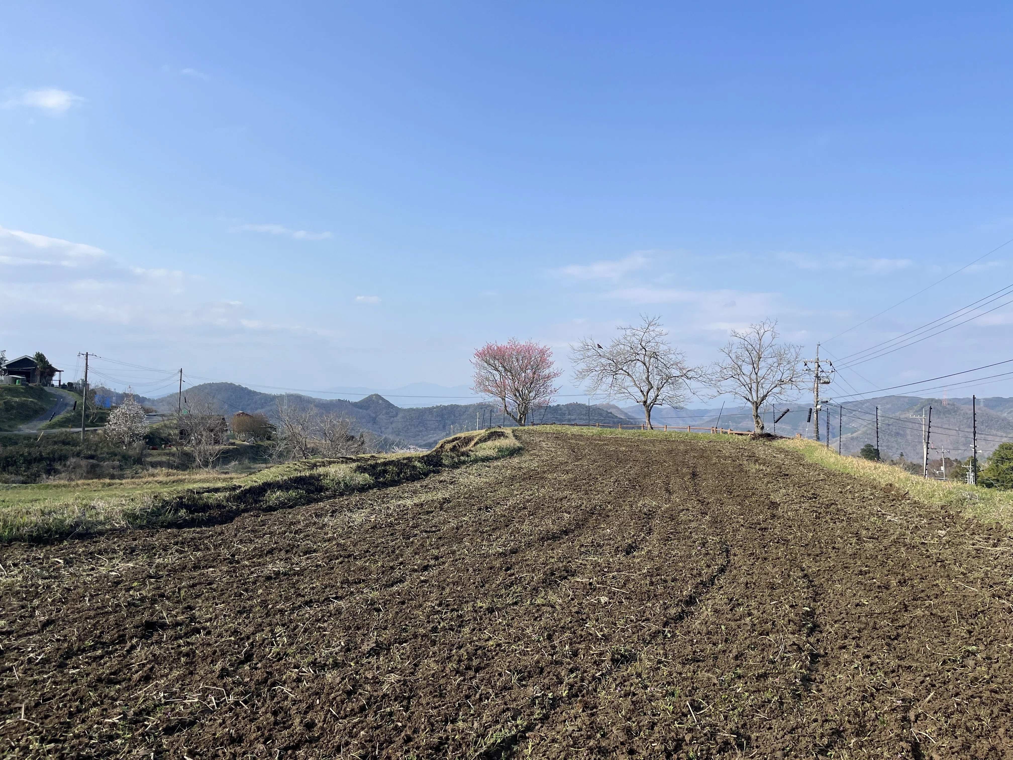 sora village 活動日記 vol.1 「田んぼのはじまり、新たな出会い