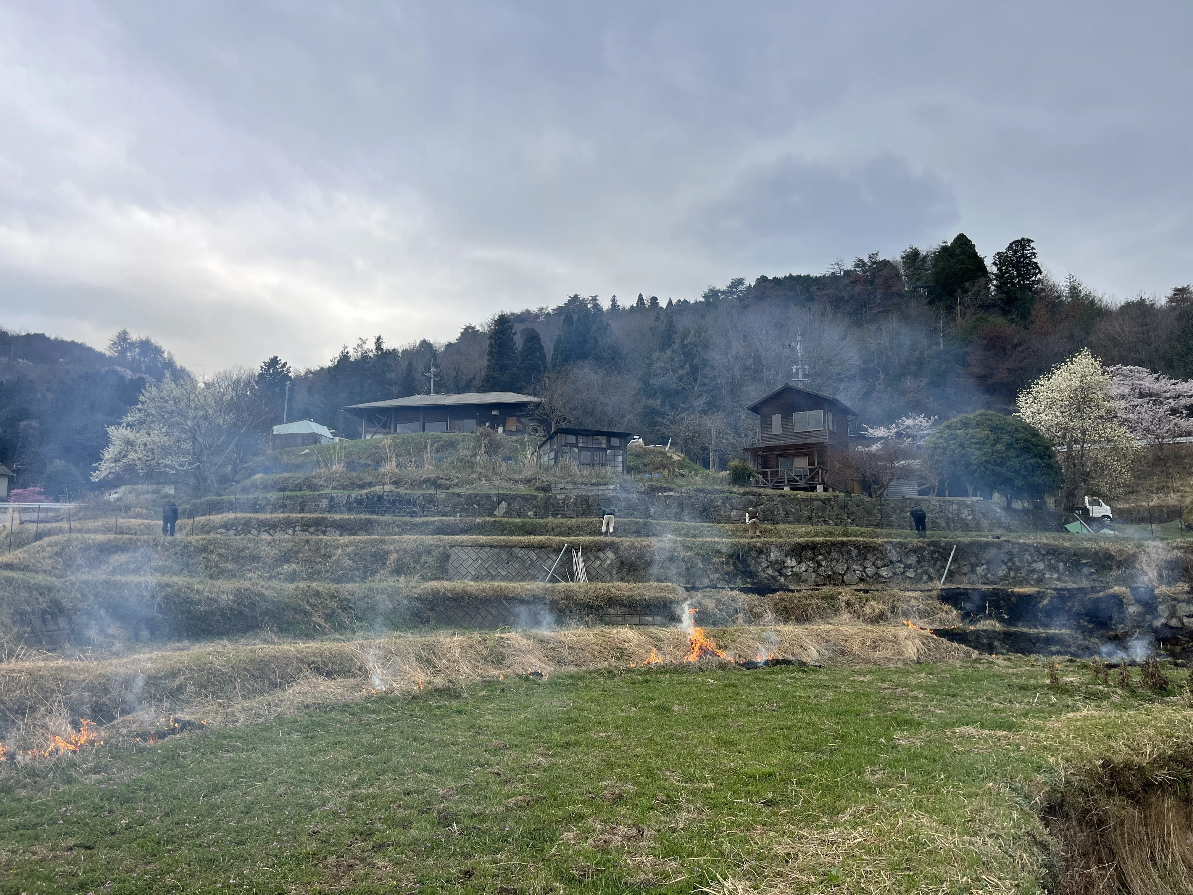 sora village 活動日記 vol.1 「田んぼのはじまり、新たな出会い