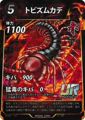 蟲神器】今、マンディが強い！？【第7弾】｜コサンジ