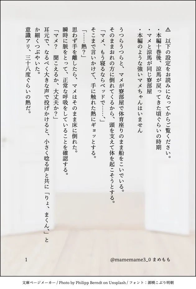 ひよこもちさま 確認用 【公式通販】 ひよこ様確認ページ neru様 確認 