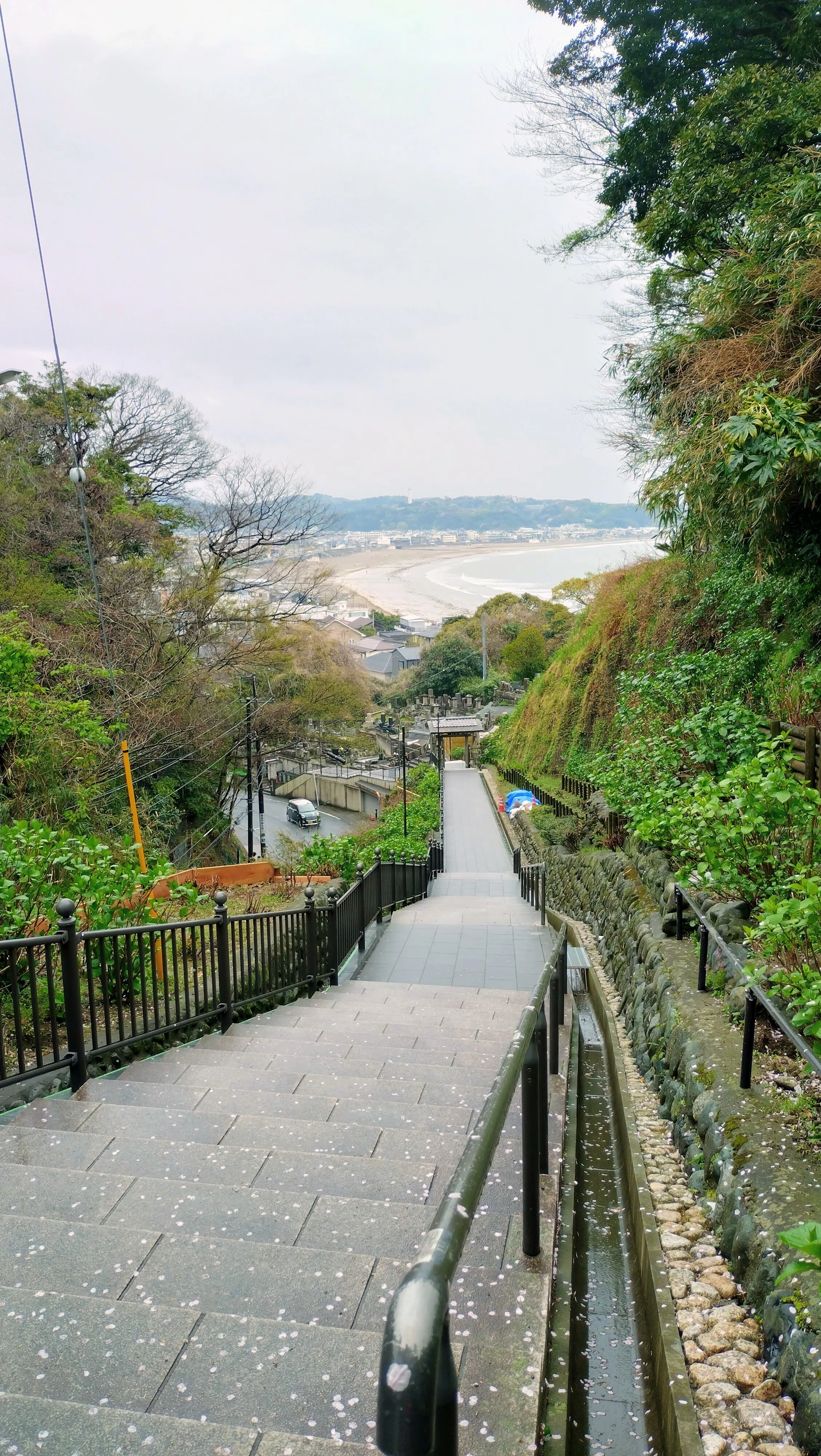 神奈川Short Trip】桜満開の鎌倉🌸ハイライトスポットを行く