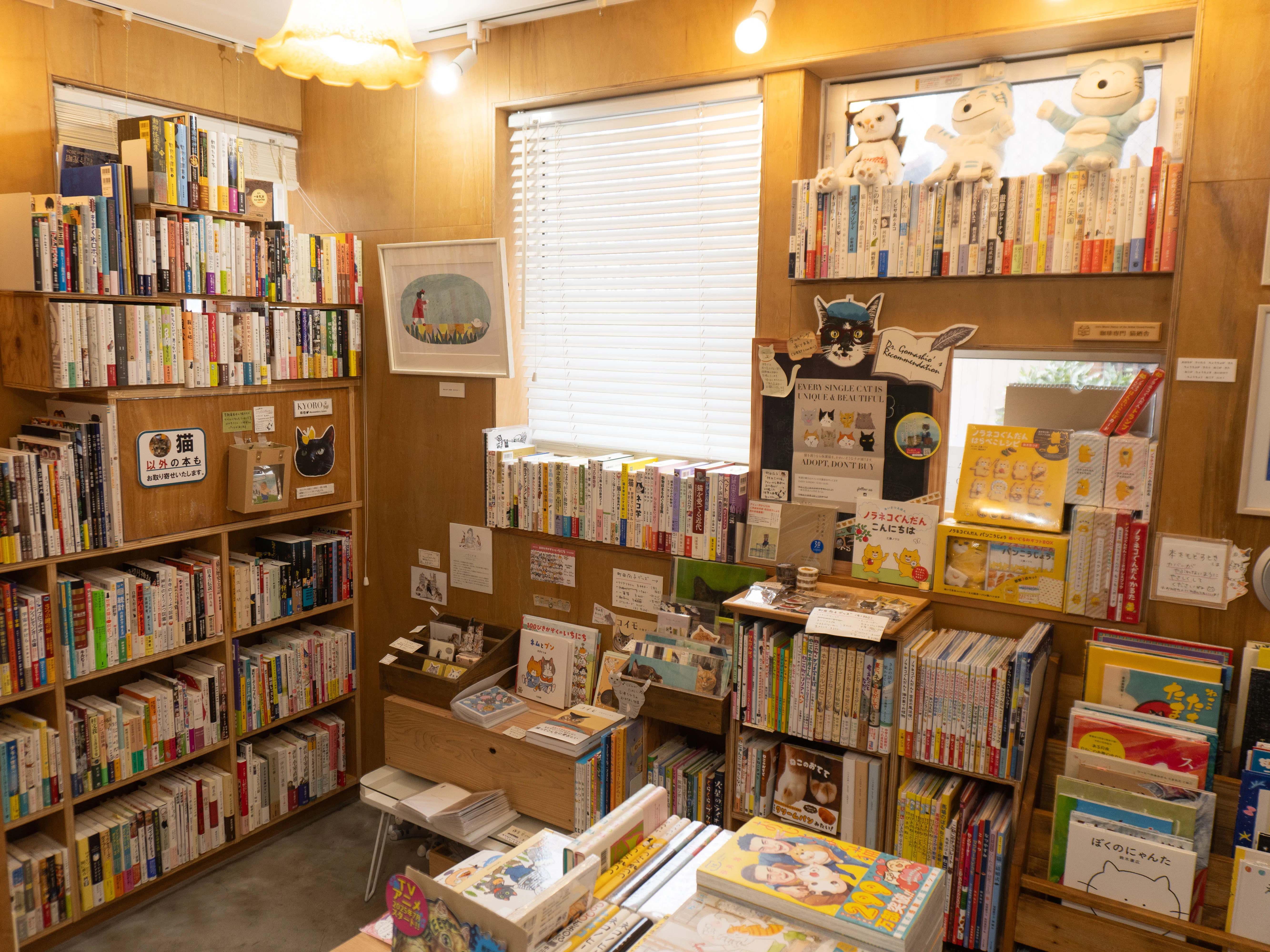 猫店員に会える書店「キャッツミャウブックス」に行ってきた話｜森潤也