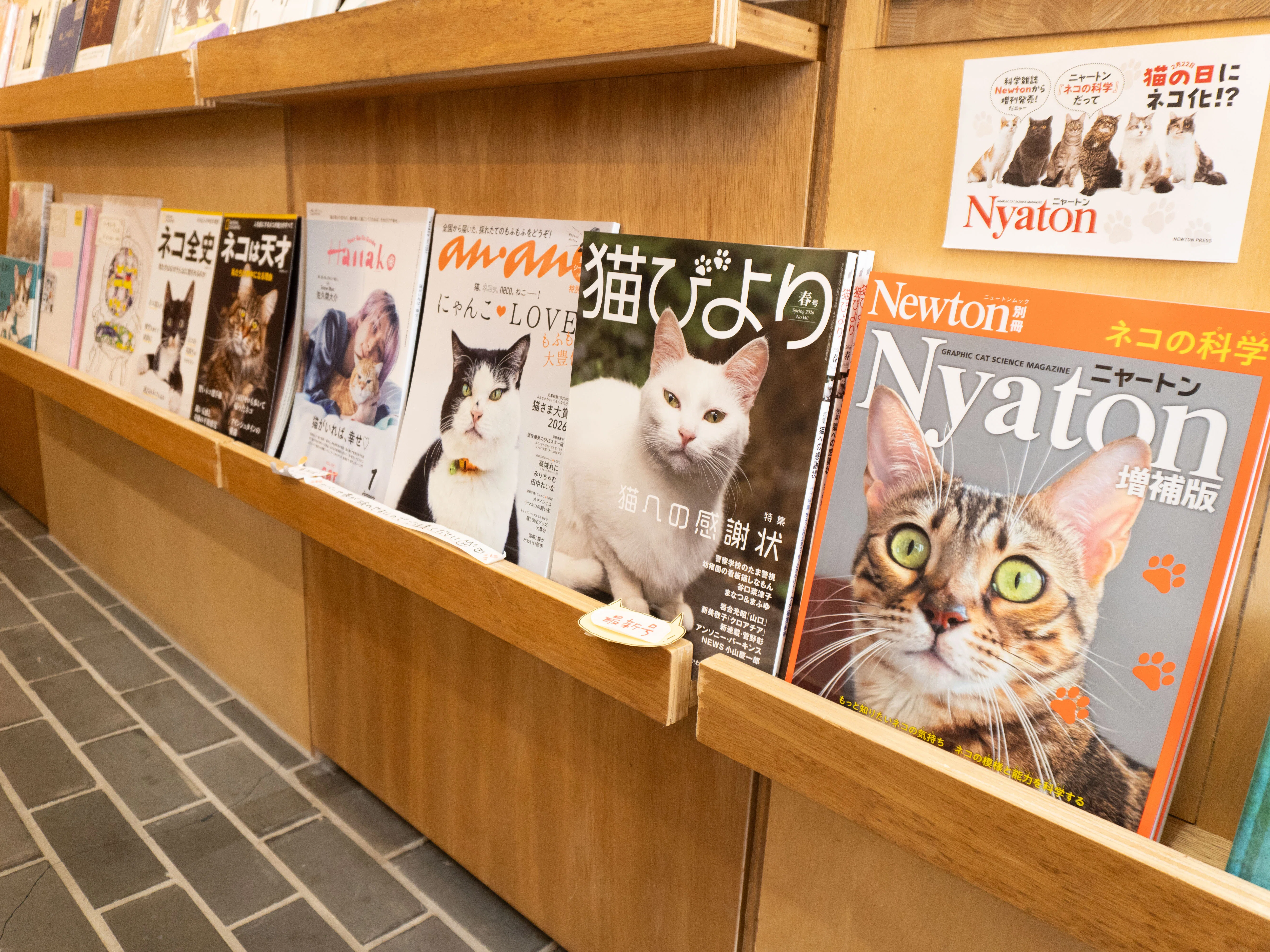 猫店員に会える書店「キャッツミャウブックス」に行ってきた話｜森潤也