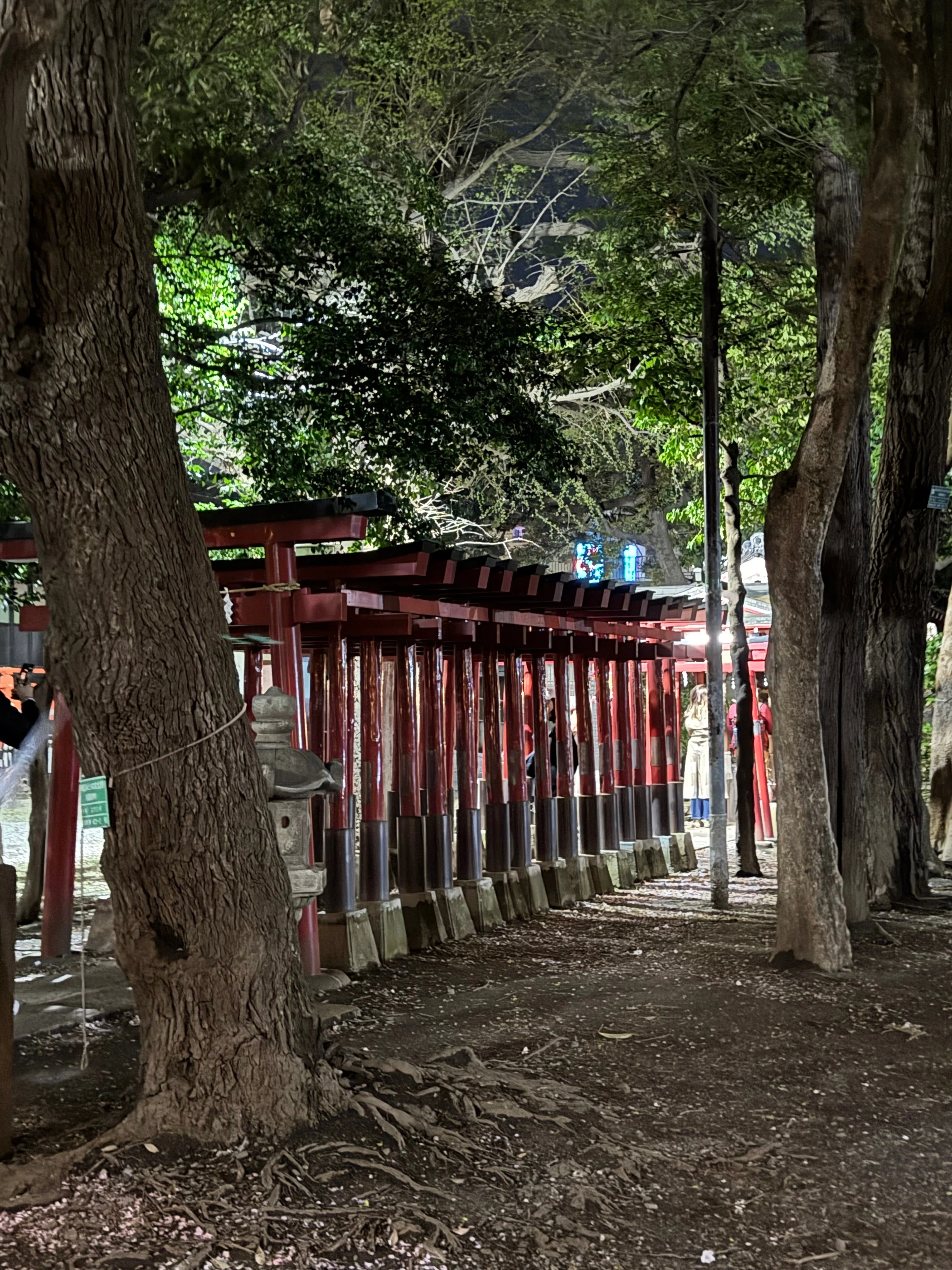東京夜探偵 46 新宿区花園神社 〜夜桜見物〜|露塵散 東京夜探偵 46 新宿区花園神社 〜夜桜見物〜|露塵散