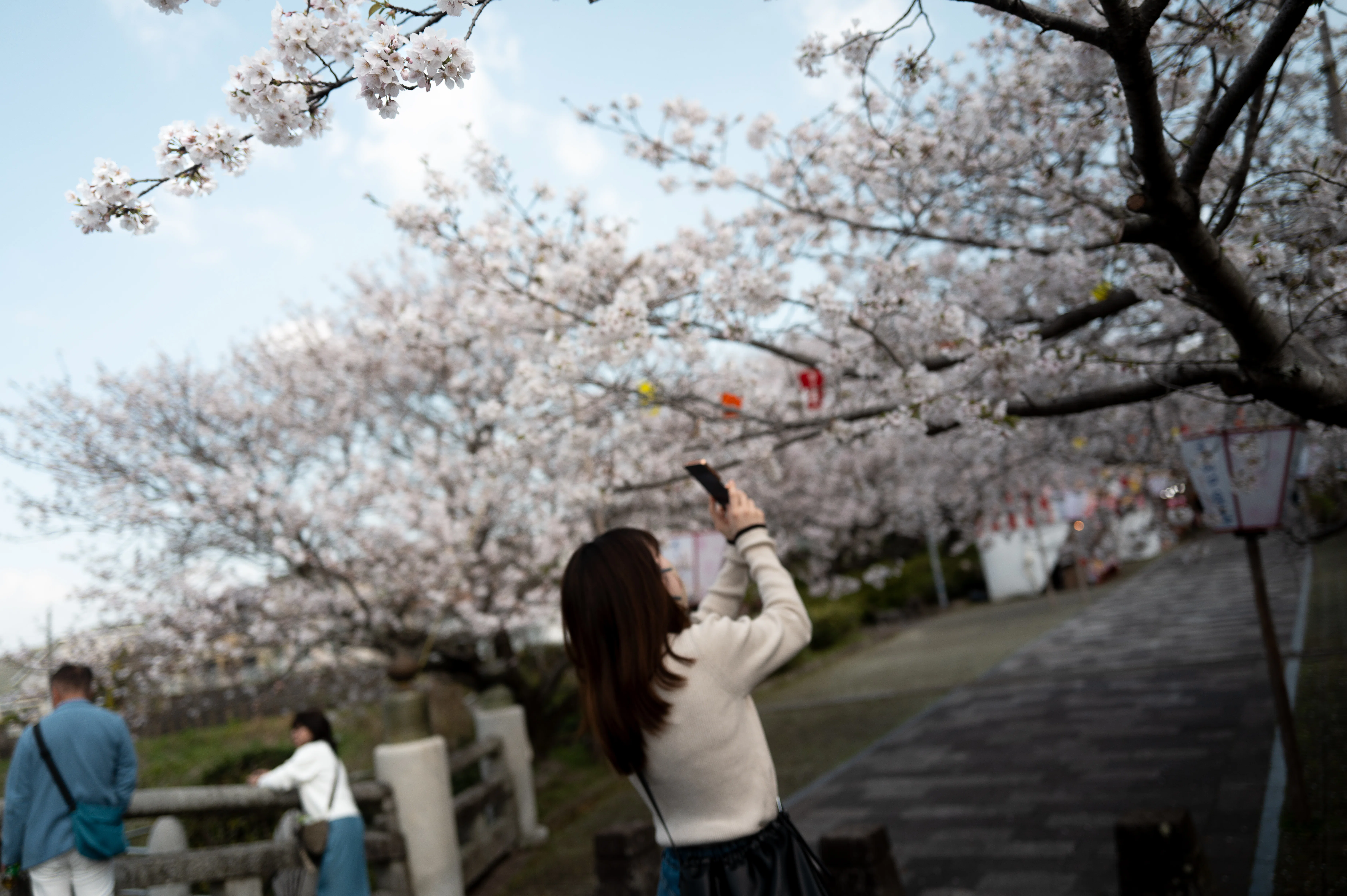 さくら咲く＠Leica Q3｜四月卯月