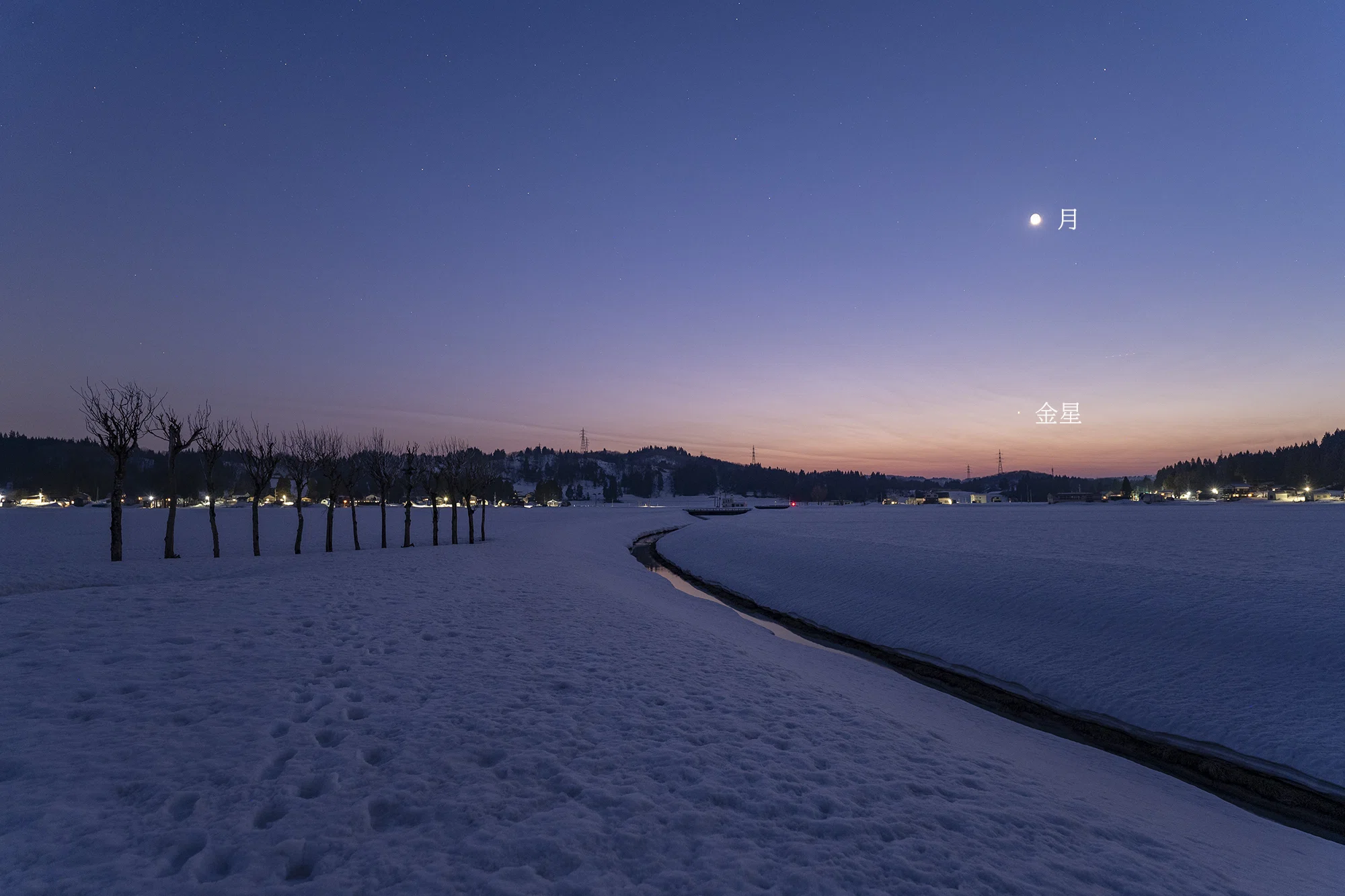 雪原の並木と星空｜星空写真家 × 会社役員 | 「好き」を「得意」に