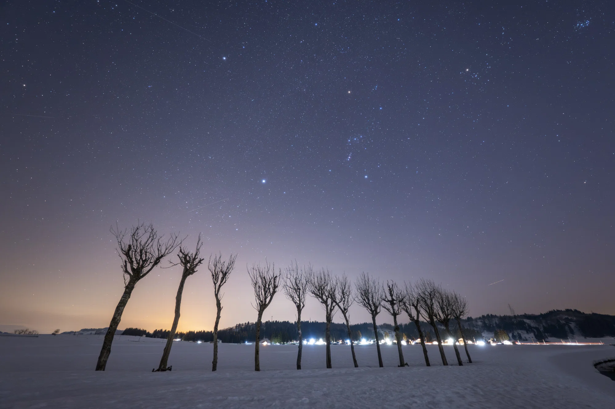 雪原の並木と星空｜星空写真家 × 会社役員 | 「好き」を「得意」に
