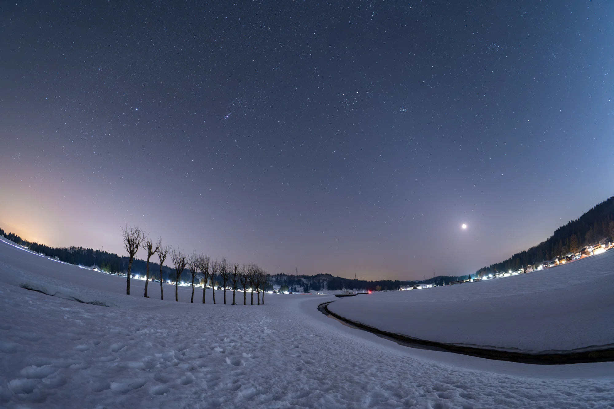 Row of Trees on a Snowy Field and the Starry Sky｜星空写真家