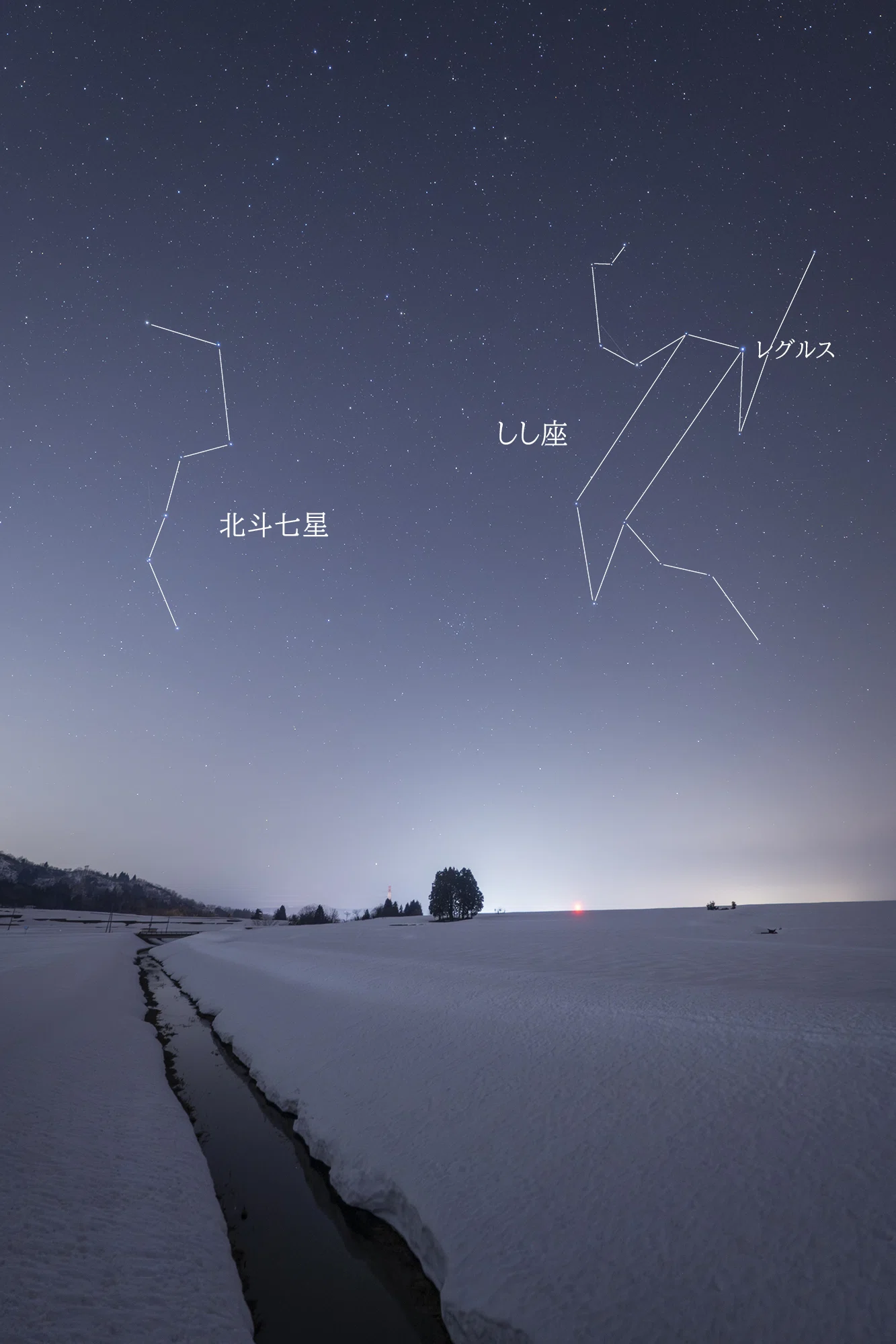雪原の並木と星空｜星空写真家 × 会社役員 | 「好き」を「得意」に