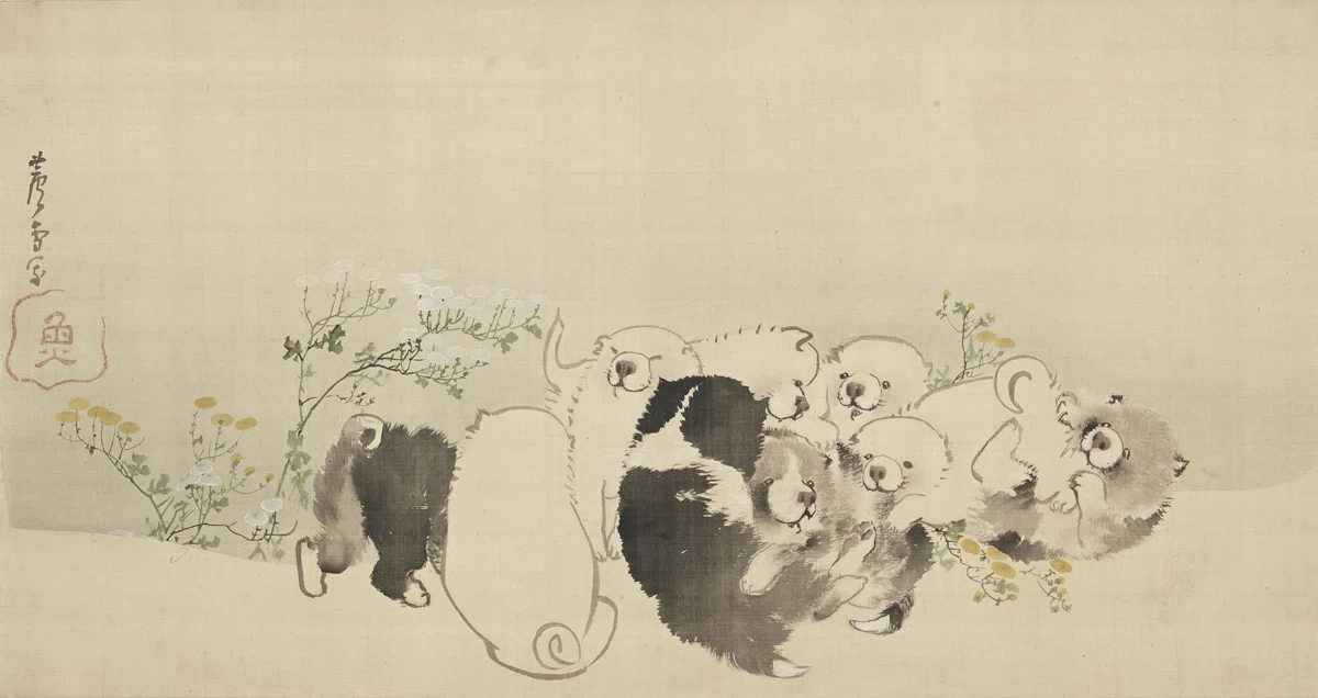 長沢蘆雪」展出品作④ 蘆雪《菊花子犬図》江戸時代中期、18世紀｜毎日