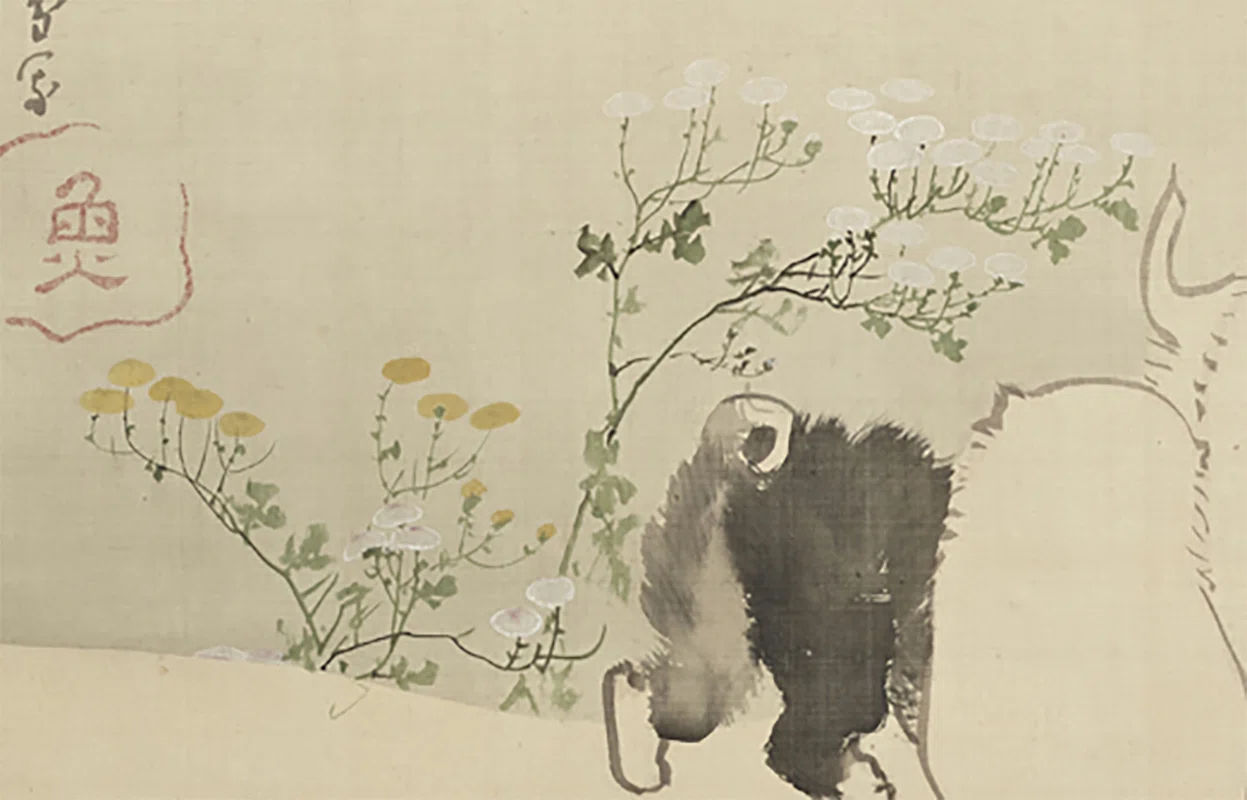長沢蘆雪」展出品作④ 蘆雪《菊花子犬図》江戸時代中期、18世紀｜美術