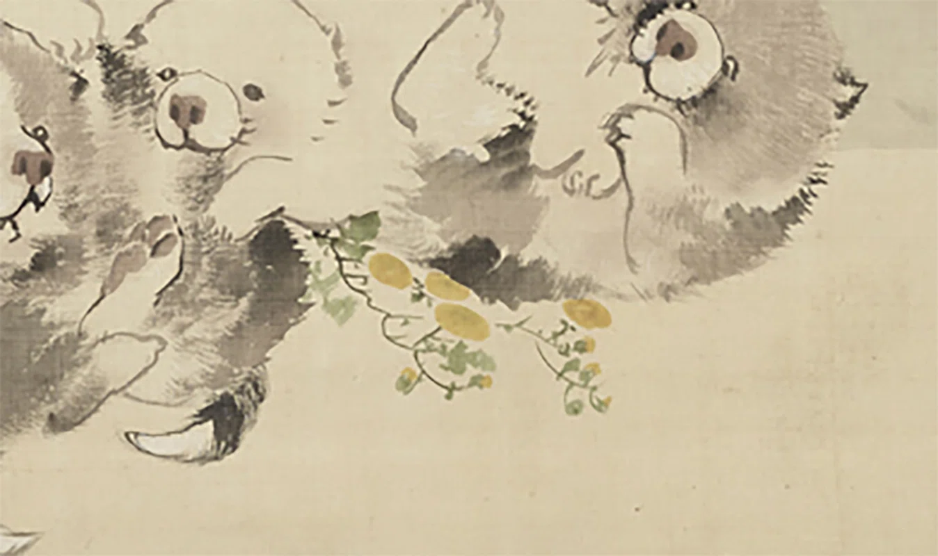 「芍薬と子犬」縦約22㎝×横約55㎝　横長キャンバス　原画　春 長沢蘆雪」展出品作④ 蘆雪《菊花子犬図》江戸時代中期、18世紀｜毎日