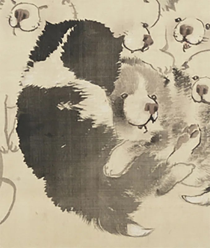 長沢蘆雪」展出品作④ 蘆雪《菊花子犬図》江戸時代中期、18世紀｜美術