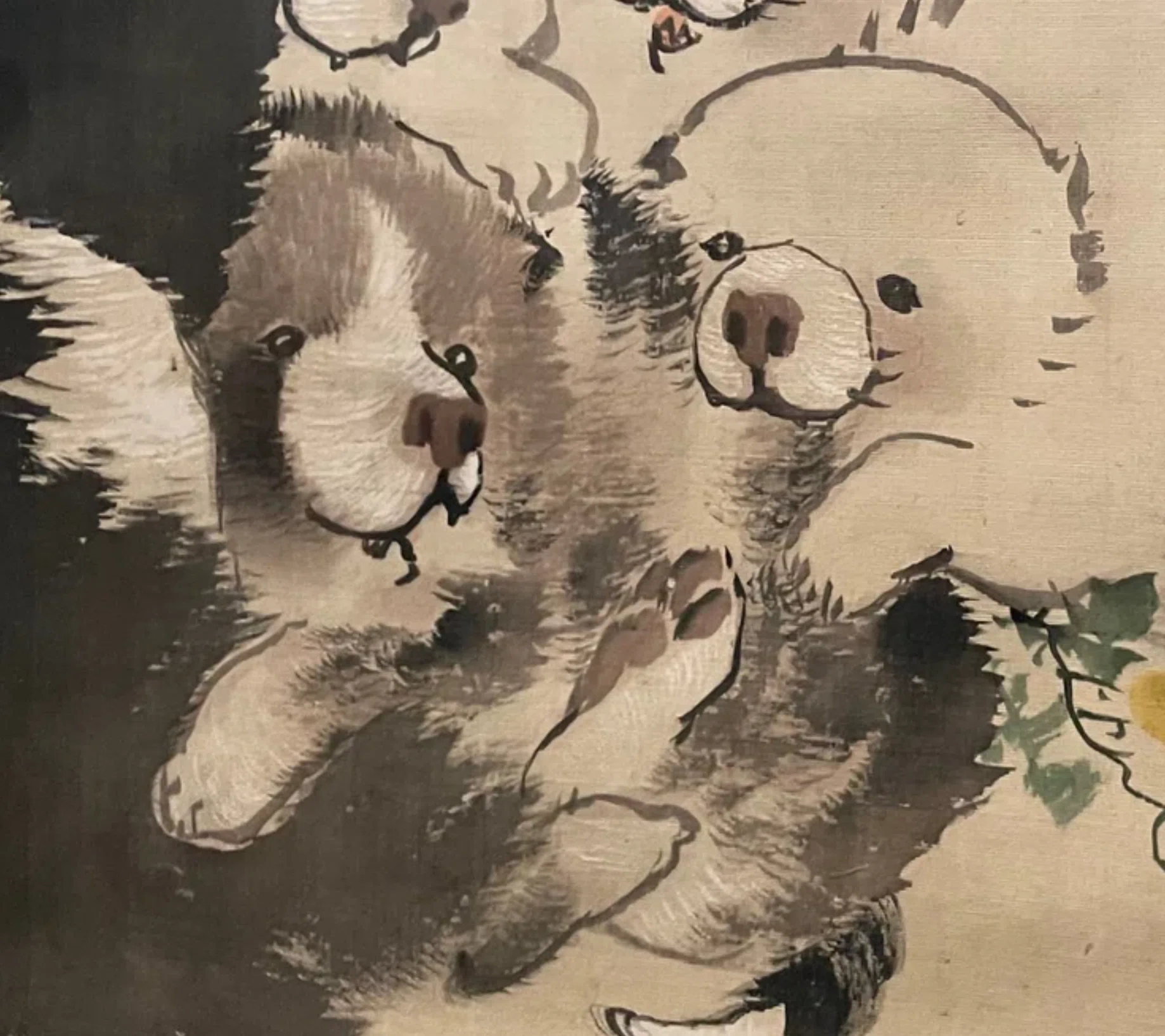 長沢蘆雪」展出品作④ 蘆雪《菊花子犬図》江戸時代中期、18世紀｜美術