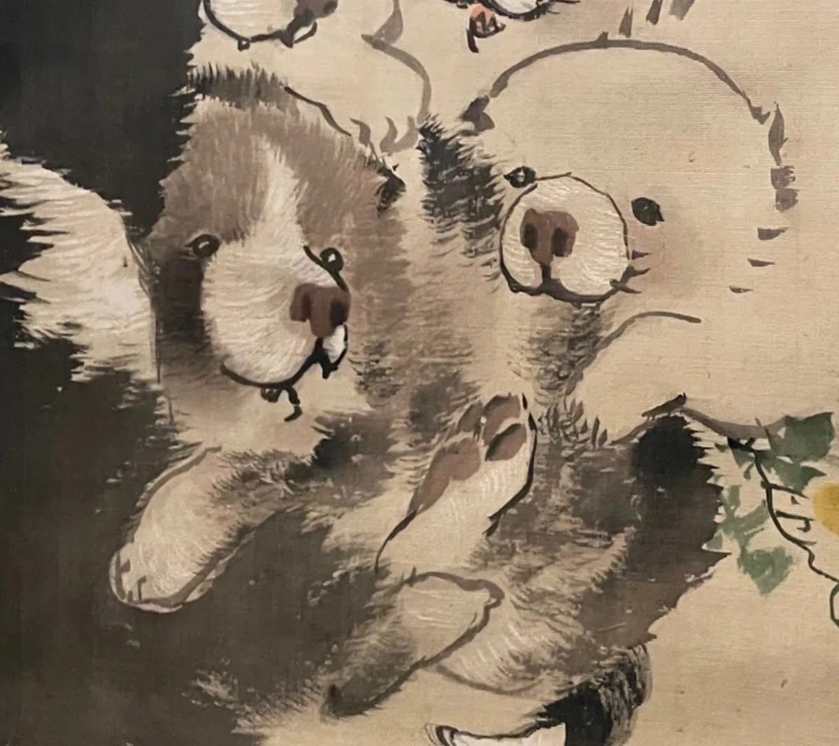 長沢蘆雪」展出品作④ 蘆雪《菊花子犬図》江戸時代中期、18世紀｜毎日