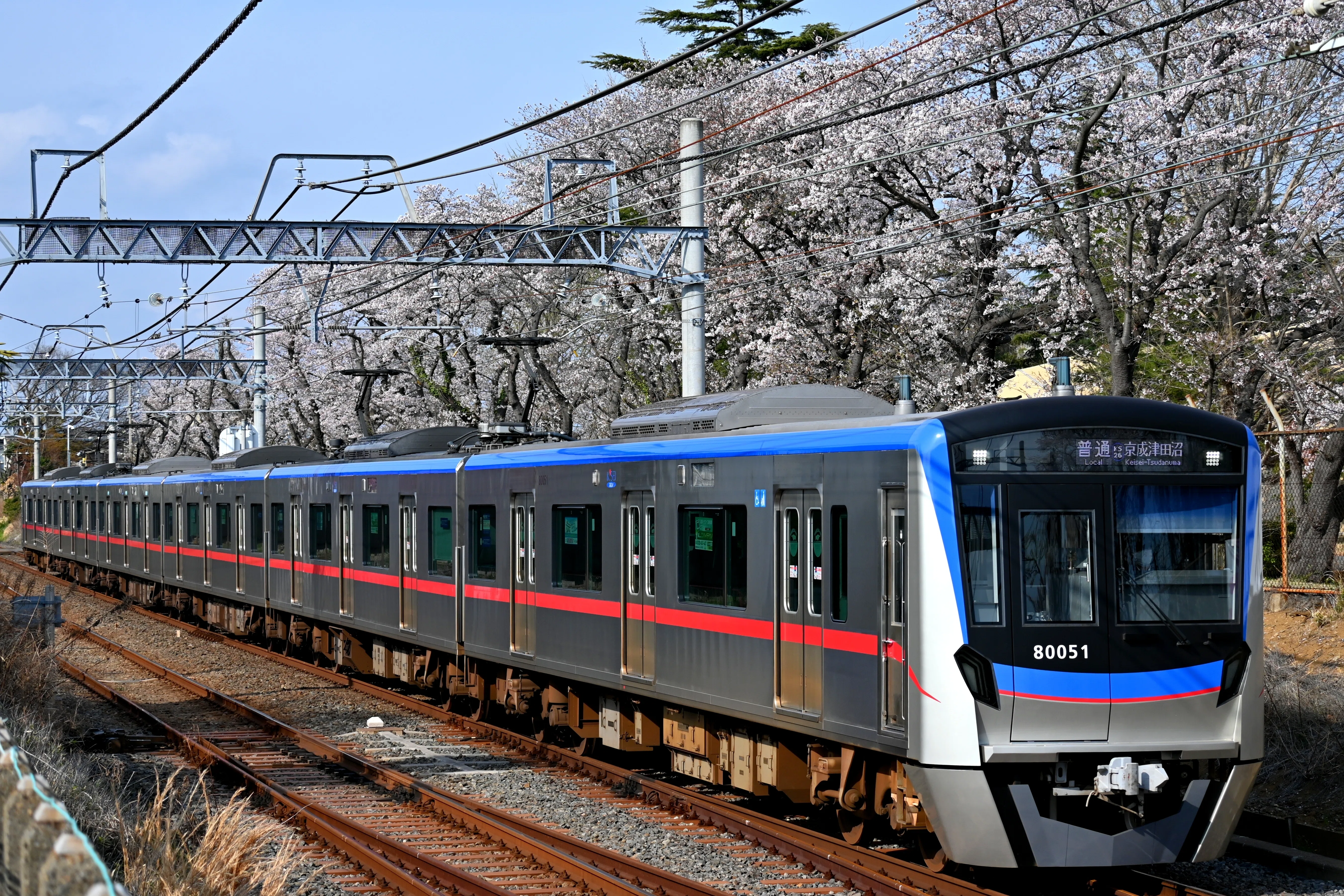 京成松戸線 桜並木と新色編成・リバイバル終了?のN838編成を撮る！｜隣