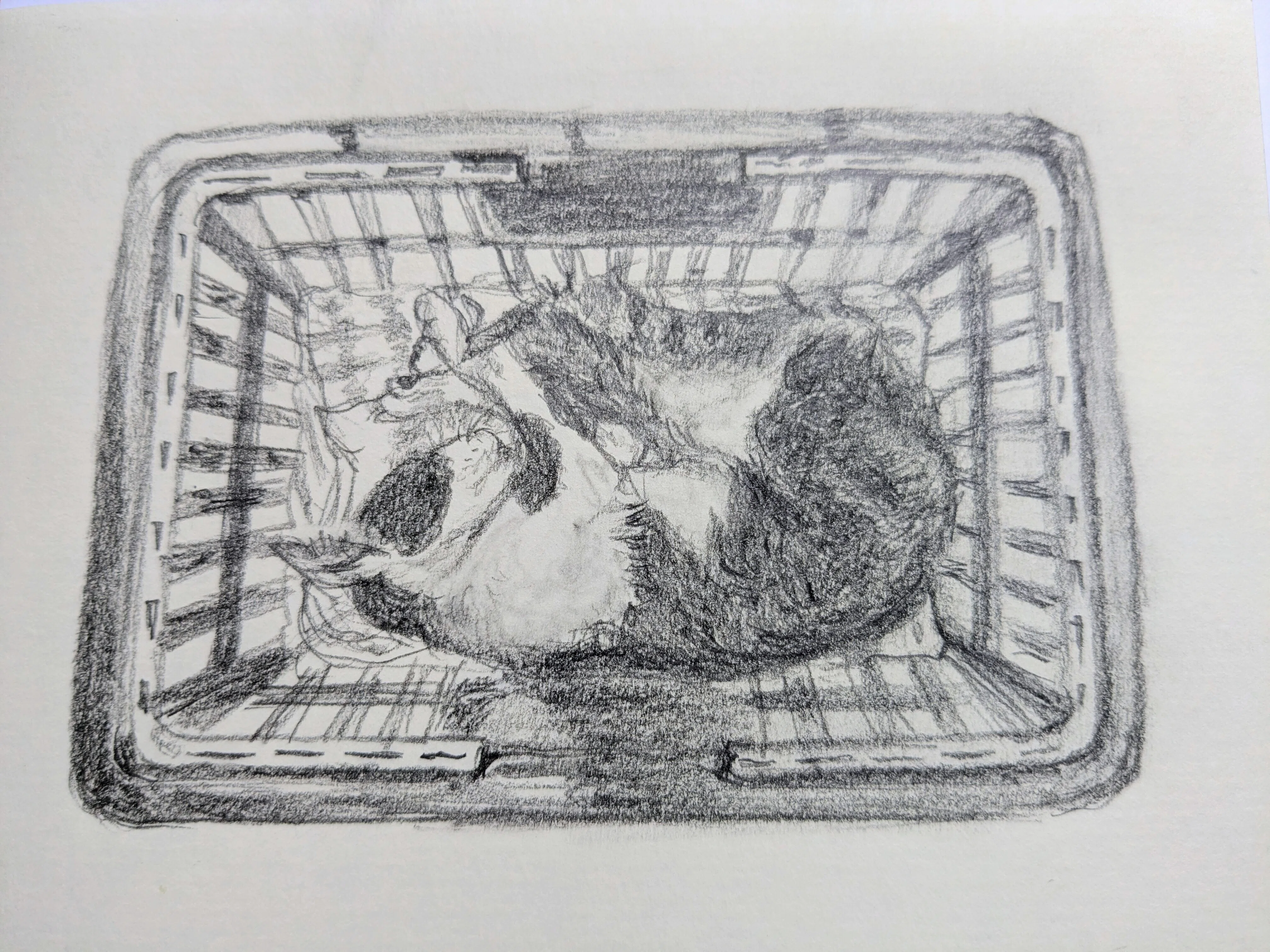 drawing #19｜mos