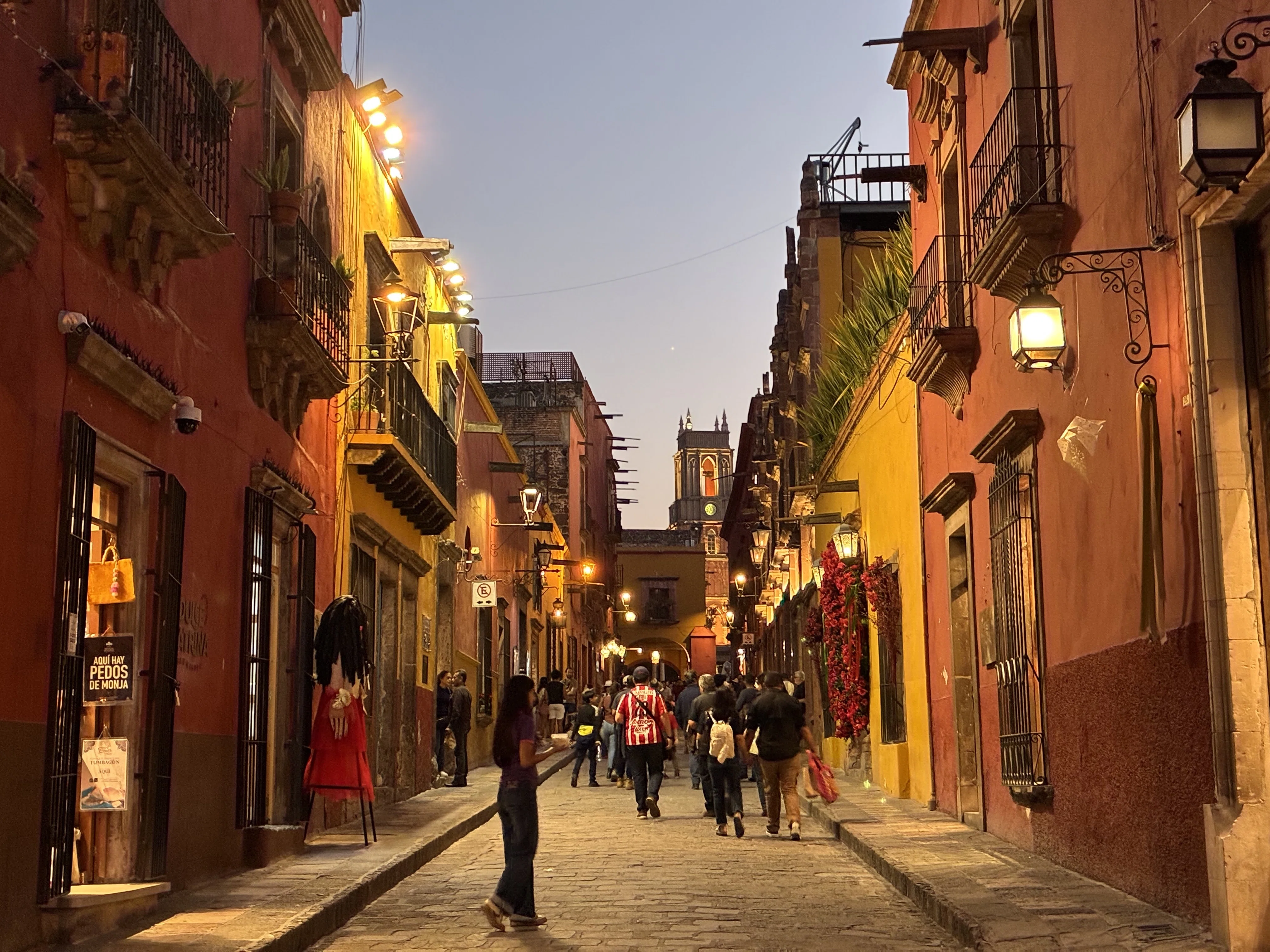 2026年2月メキシコの物価（サンミゲル・デ・アジェンデ編）※写真多数