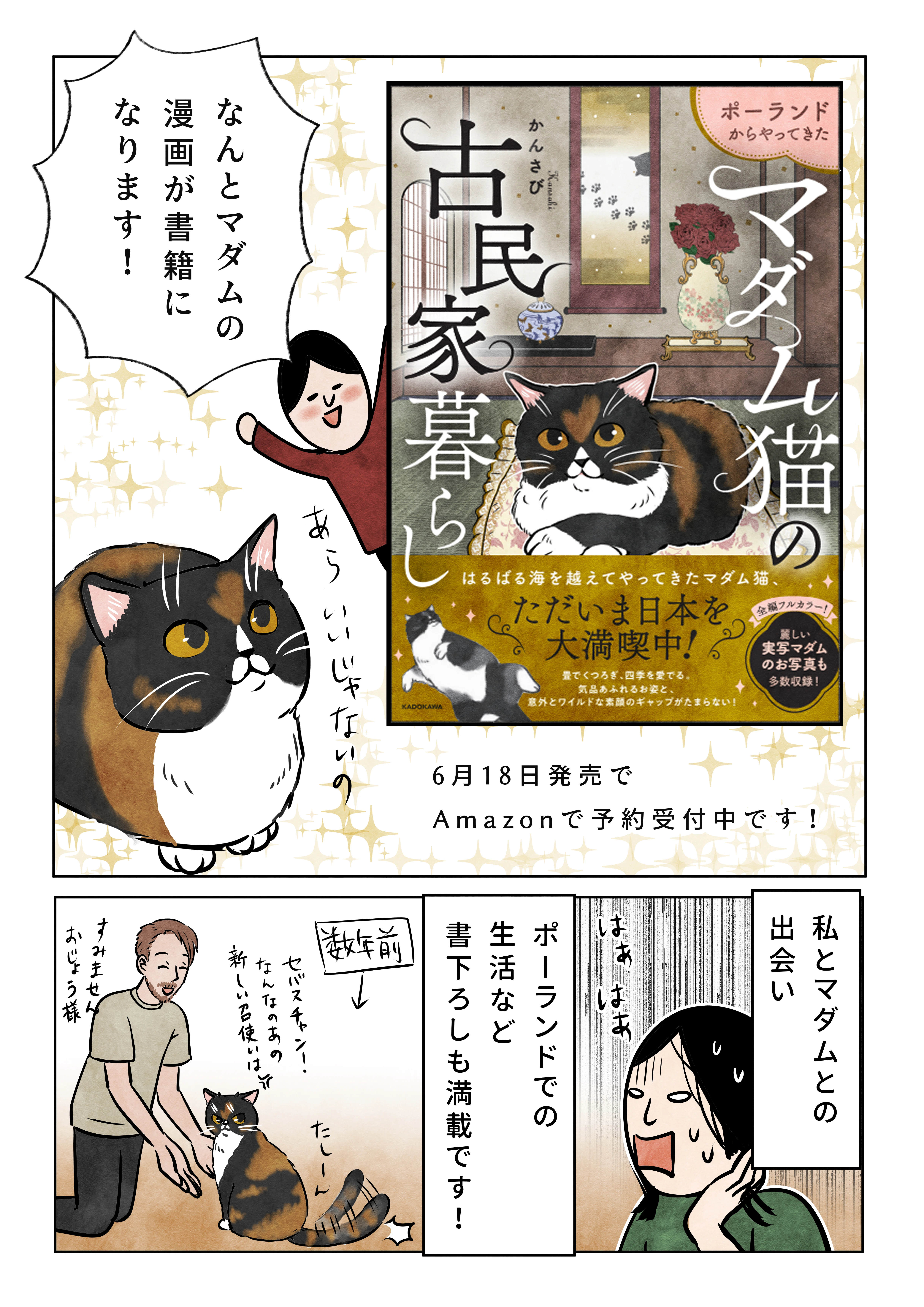 A Report from Madame🌹】｜かんさび
