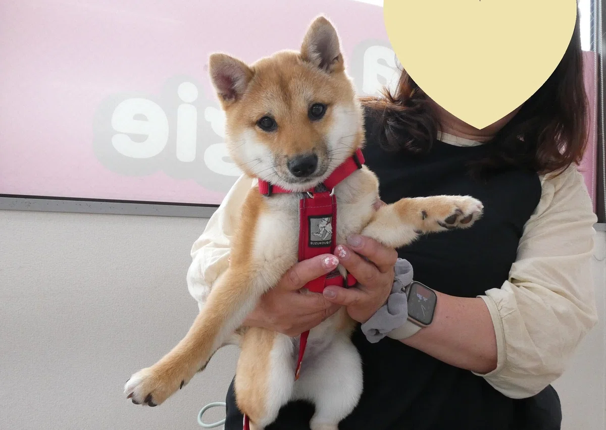 画像