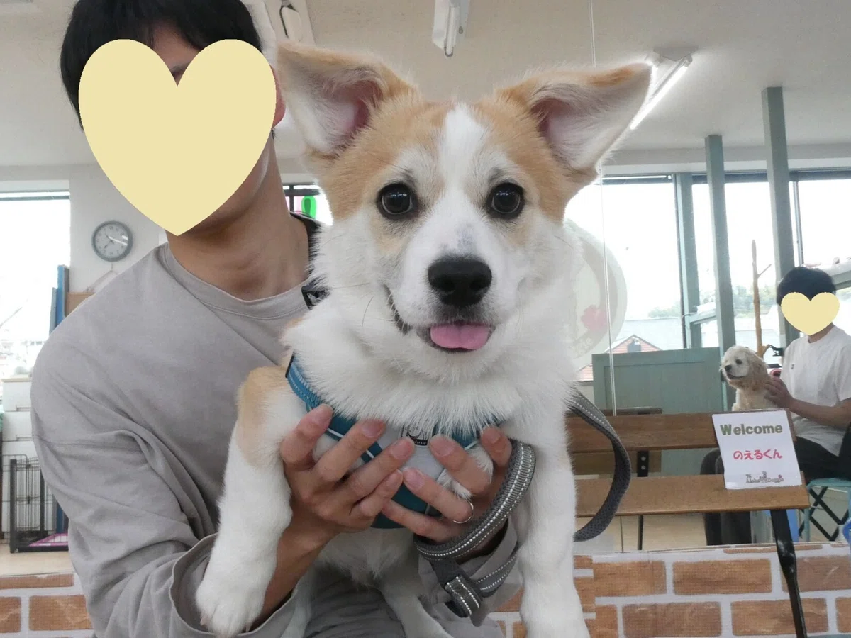 画像