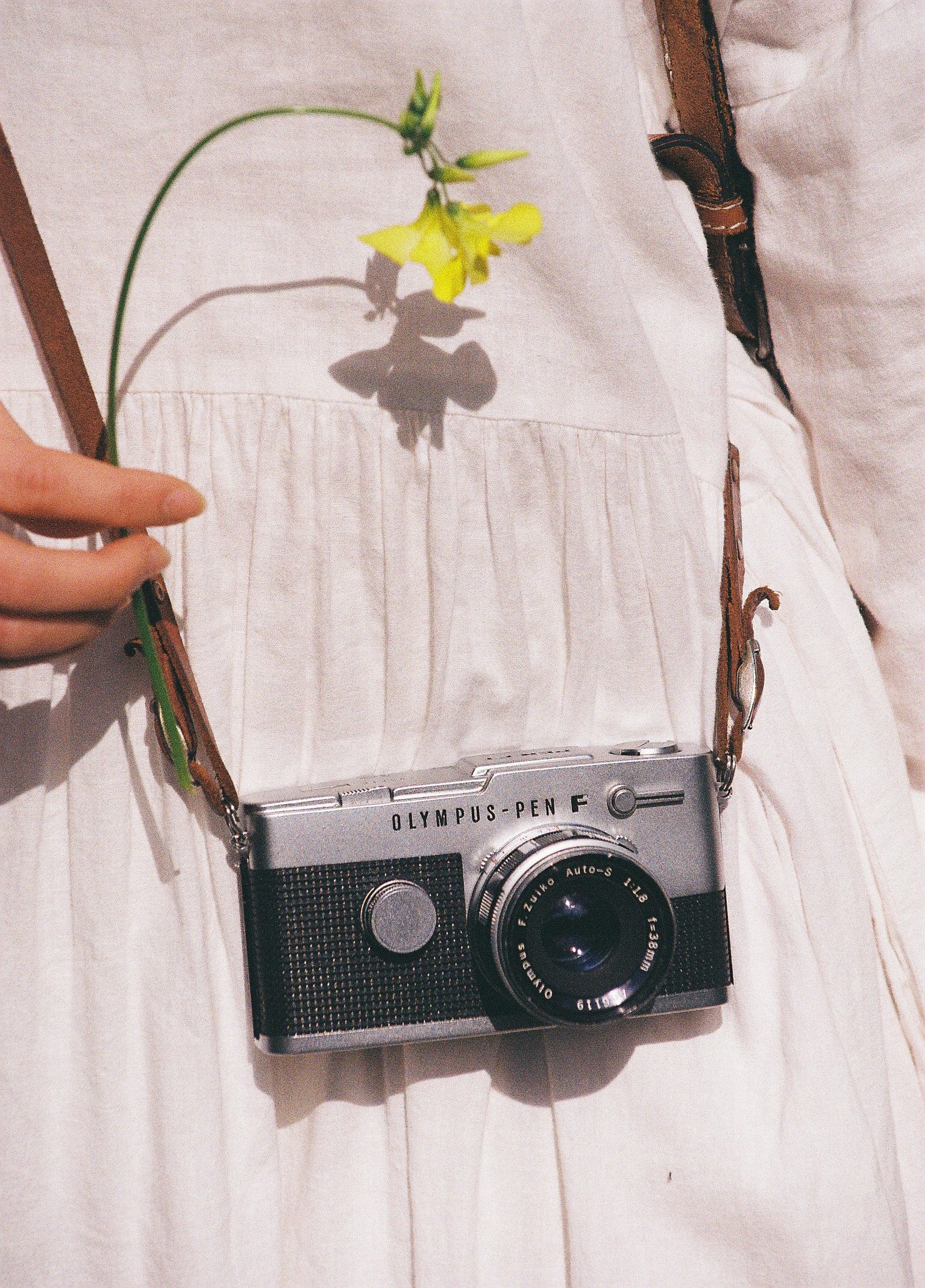 OLYMPUS PEN FT｜宵ノ入の随想
