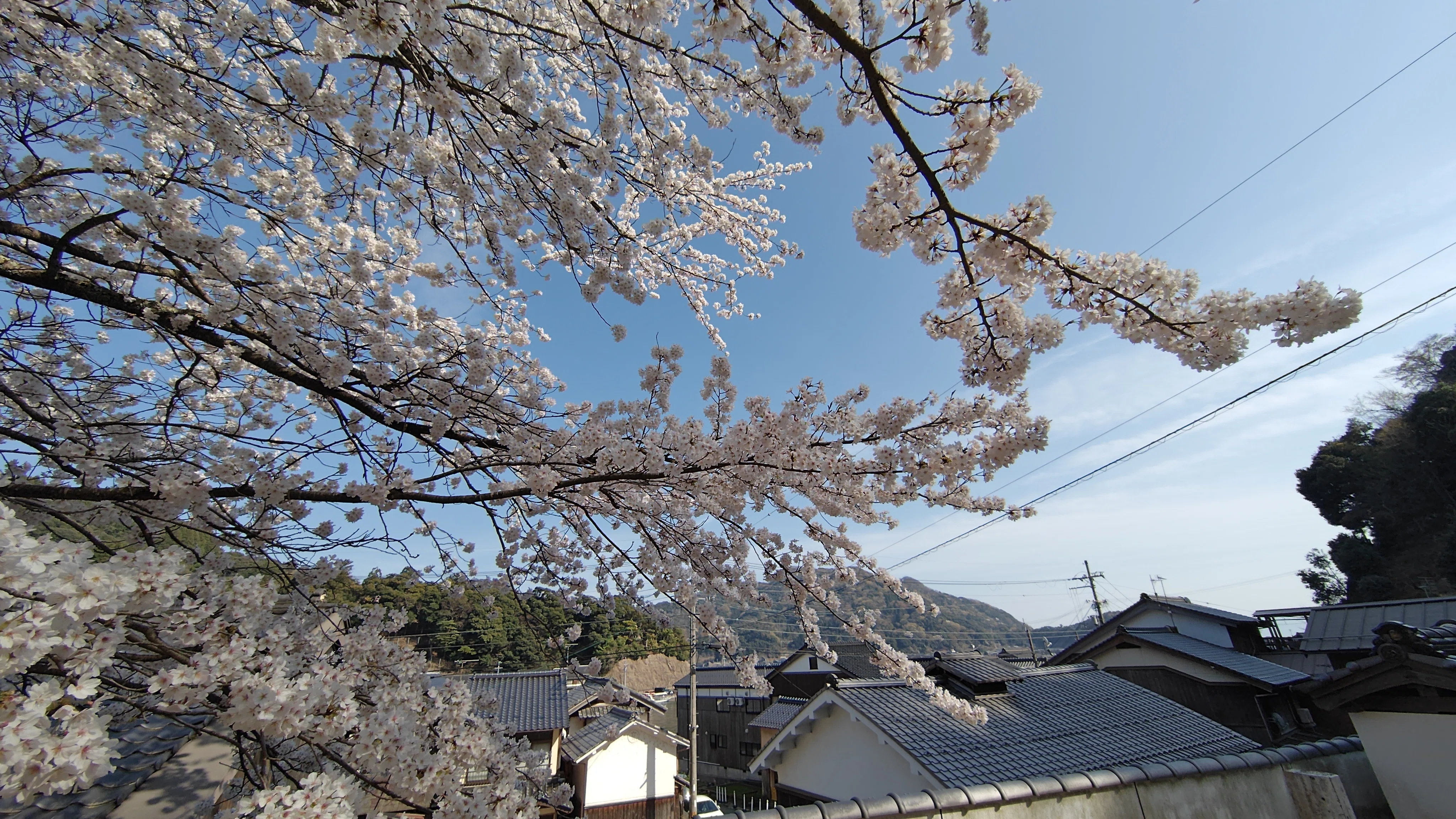 The Long-Awaited 'Takanashi' Bus Stop and the Breathtaking Views of Ine ...