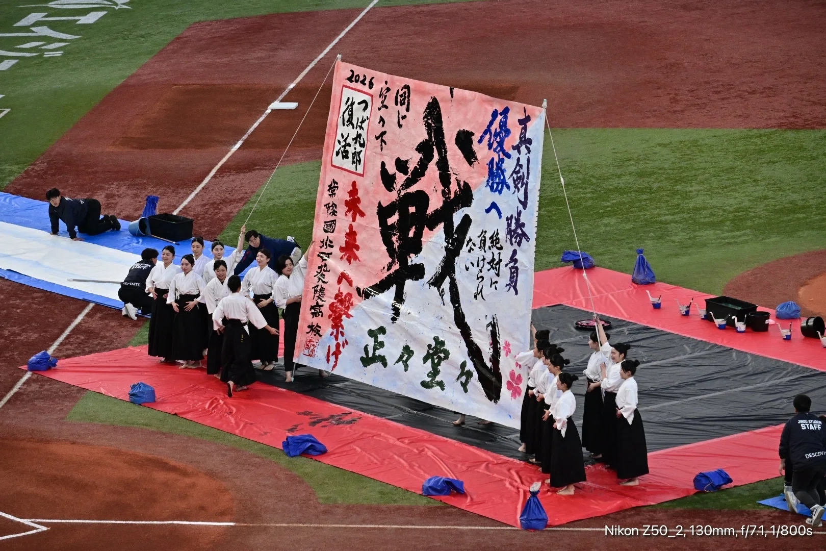 神宮球場 プロ野球観戦｜Swan High 1114