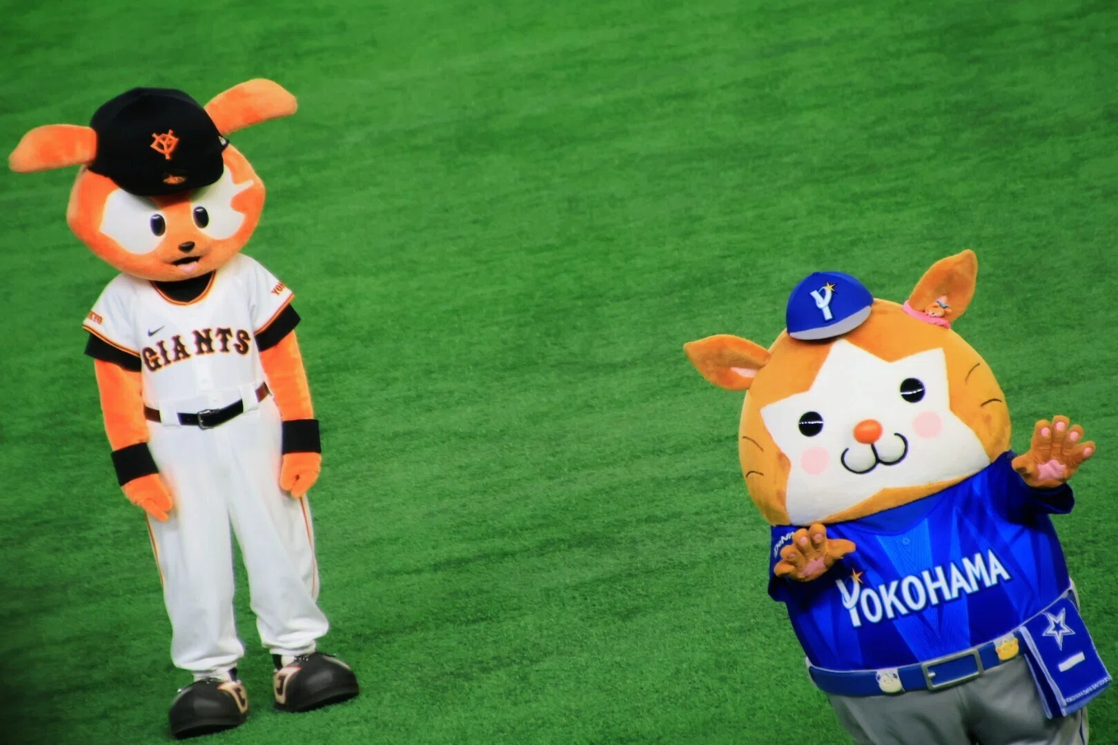 野球観戦】2026/4/5 横浜DeNAベイスターズ vs 読売ジャイアンツ｜あざまる