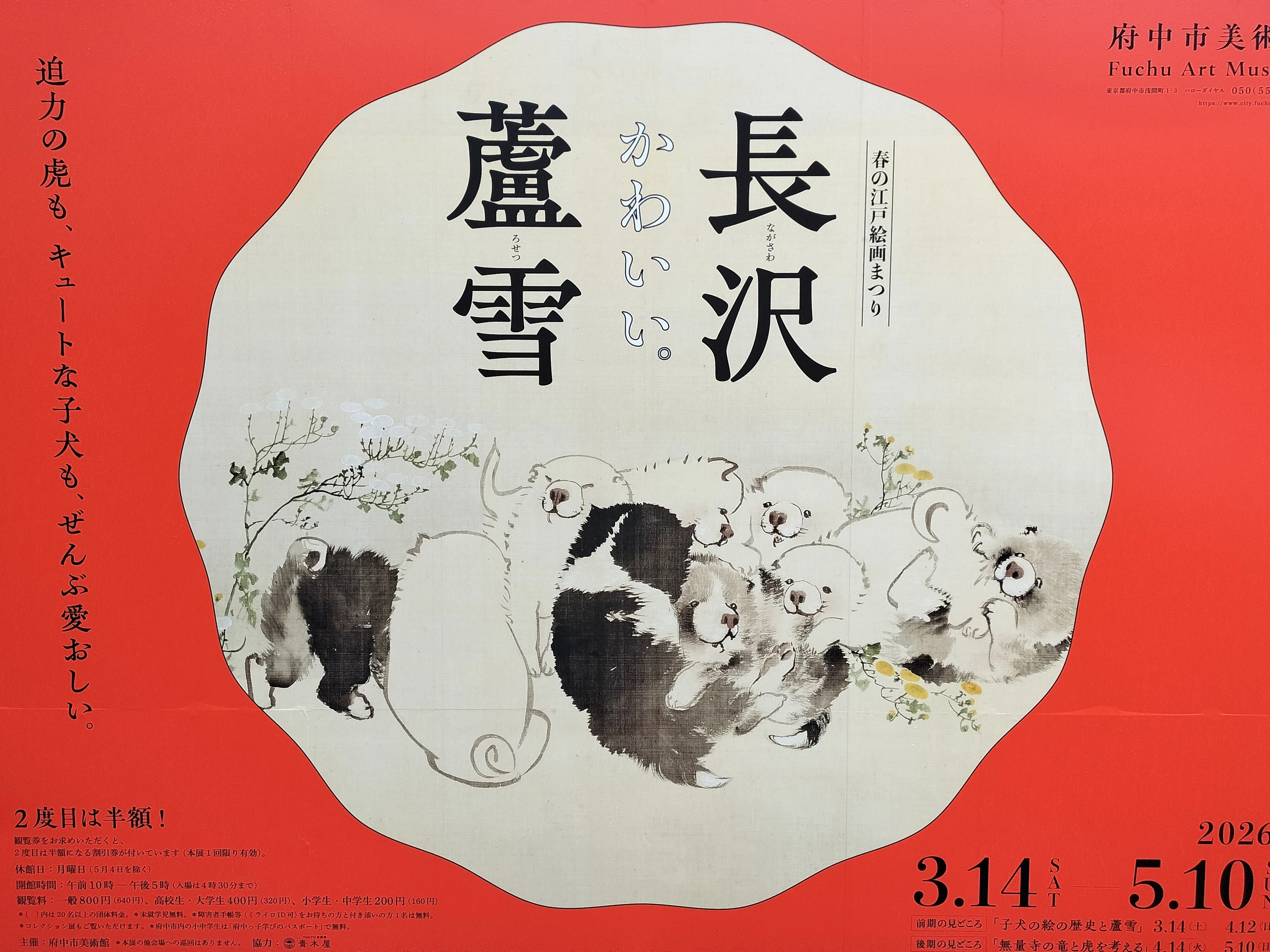 展覧会散歩「春の江戸絵画まつり 長沢蘆雪」+「コレクション展」｜蓜嶌