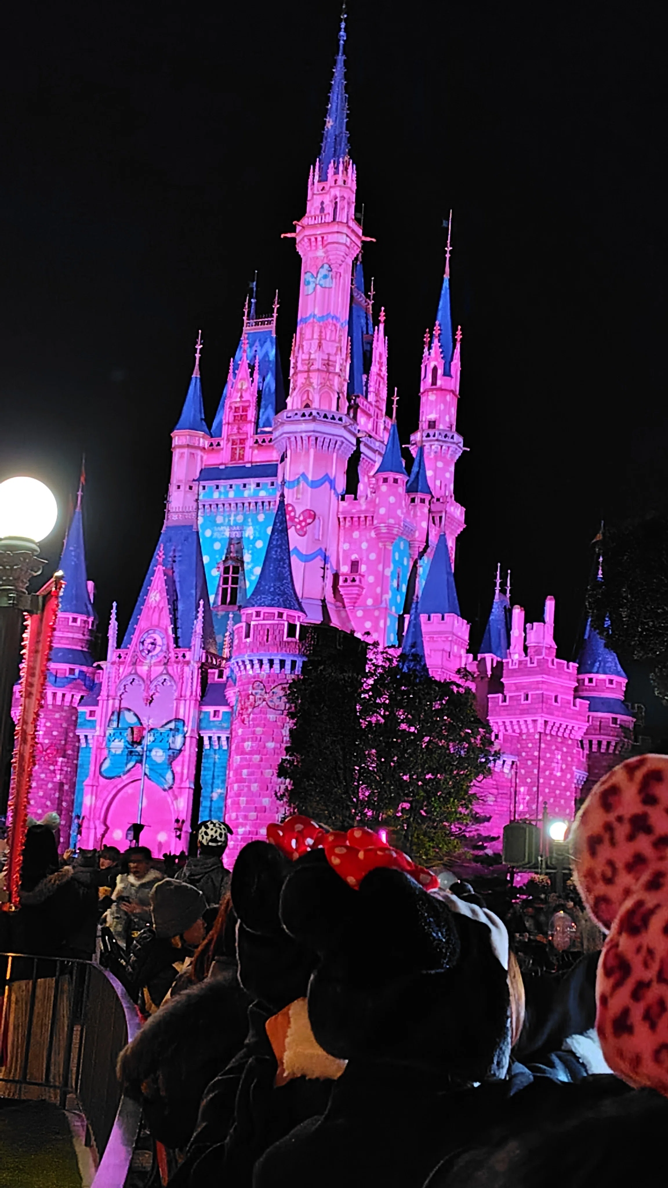 東京ディズニーリゾート 2026.2 東京ディズニーリゾートのたび｜たびのきろく