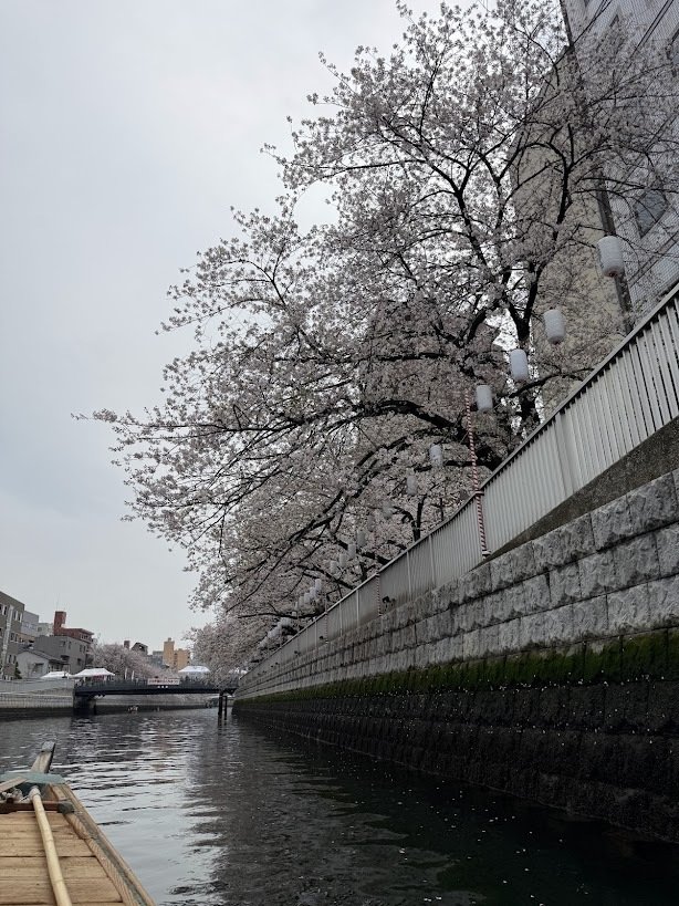 お江戸深川さくらまつりの和船に乗ってきました。抽選制のほうがありがたいかも。|Yuta Hoshino