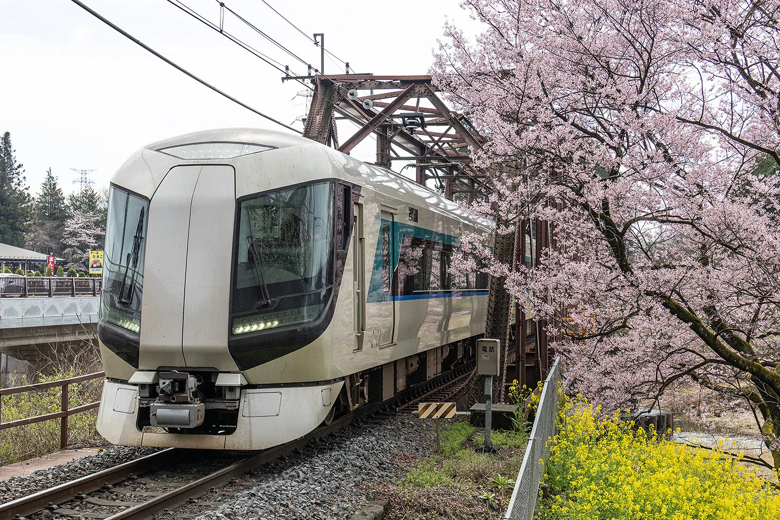 東武鉄道 v257, 東武鉄道：桜とSL大樹 （2026年）｜ひろやん