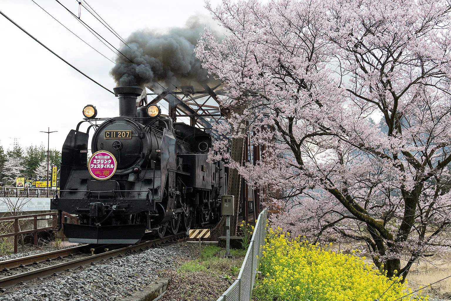 v257, 東武鉄道：桜とSL大樹 （2026年）｜ひろやん