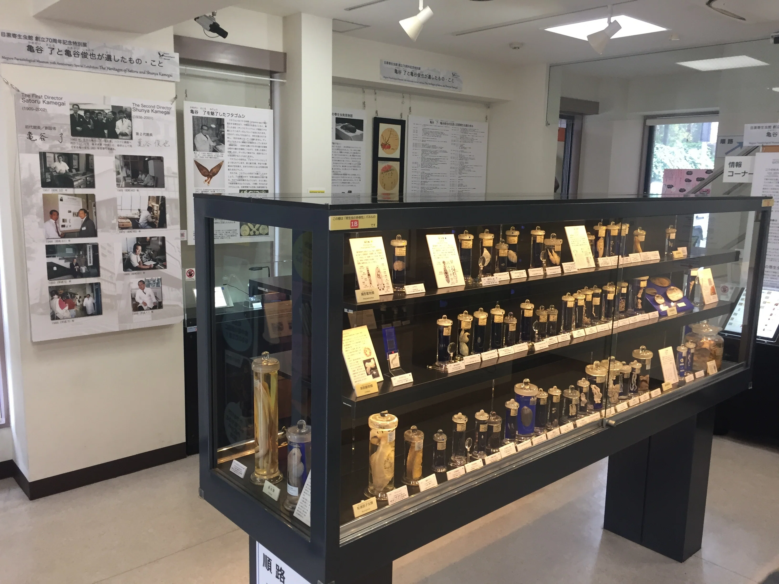 すごい博物館170】目黒寄生虫館：動物や人間の体内から採取した寄生虫