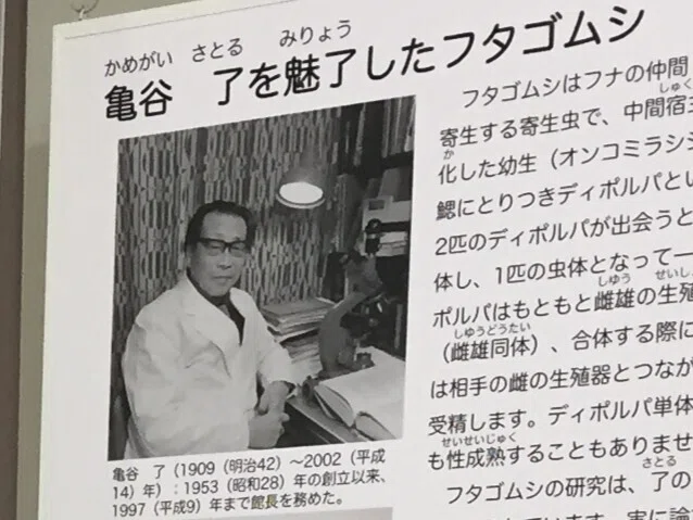 すごい博物館170】目黒寄生虫館：動物や人間の体内から採取した寄生虫